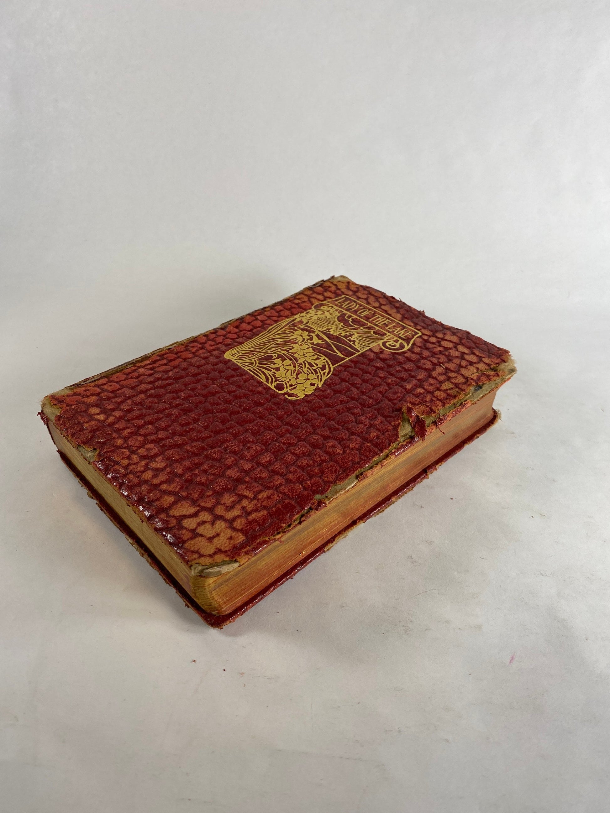 1920 Sir Walter Scott ANTIQUE leather book which inspired the Highland Revival! Lady of the Lake set in Trossachs Scotland