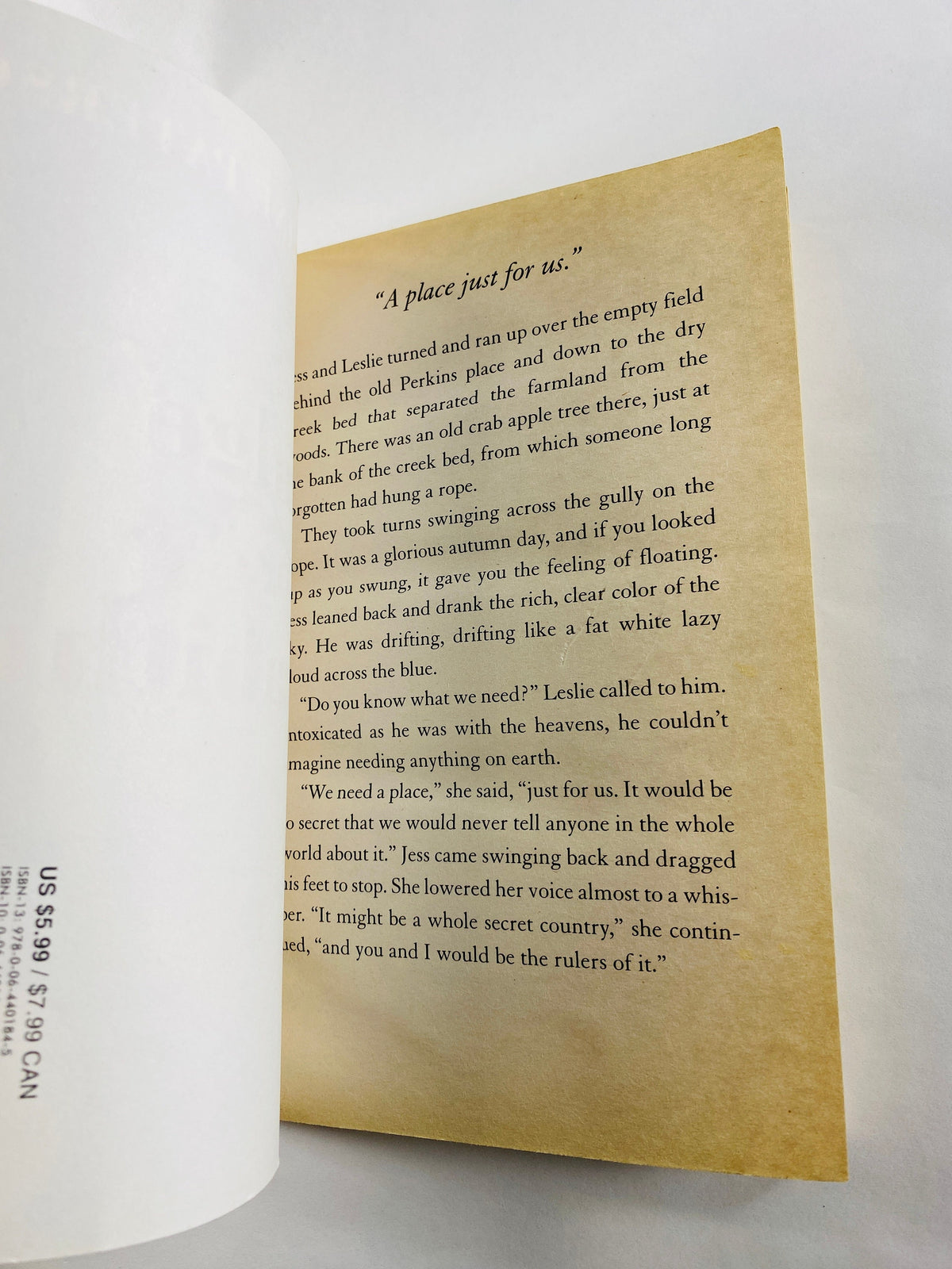 Bridge to Terabithia by Katherine Paterson Vintage paperback book about two 5th grade friends and lessons through tragedy Children's story