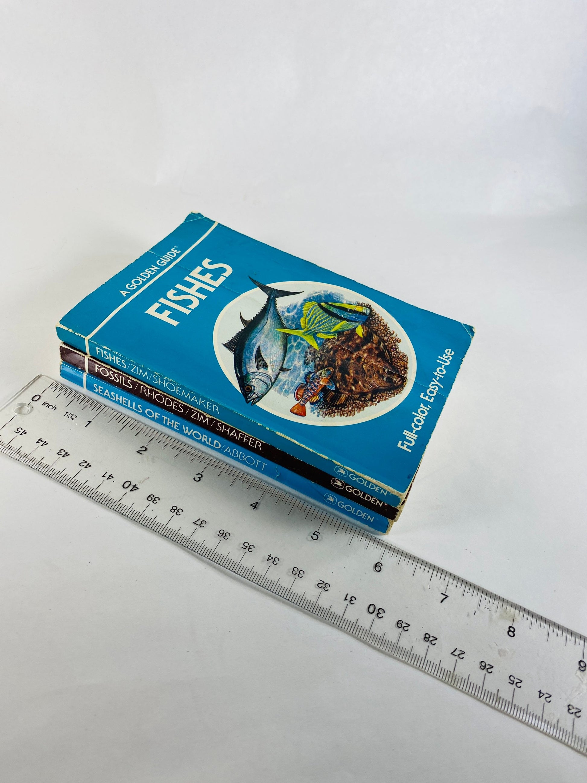 Golden Guide Book Fossils Seashells Fishes Vintage paperback books circa 1985 Whitman Golden