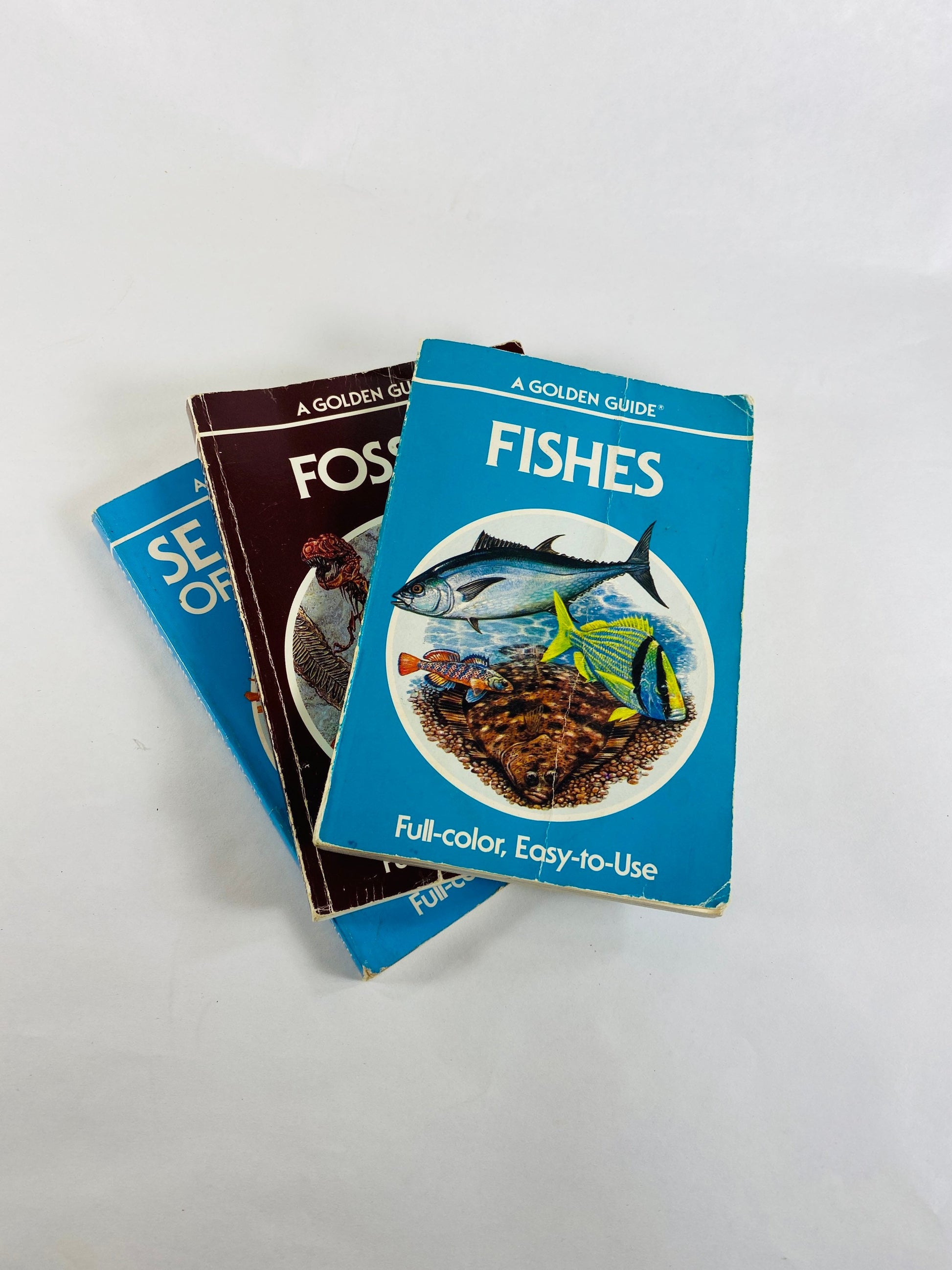 Golden Guide Book Fossils Seashells Fishes Vintage paperback books circa 1985 Whitman Golden