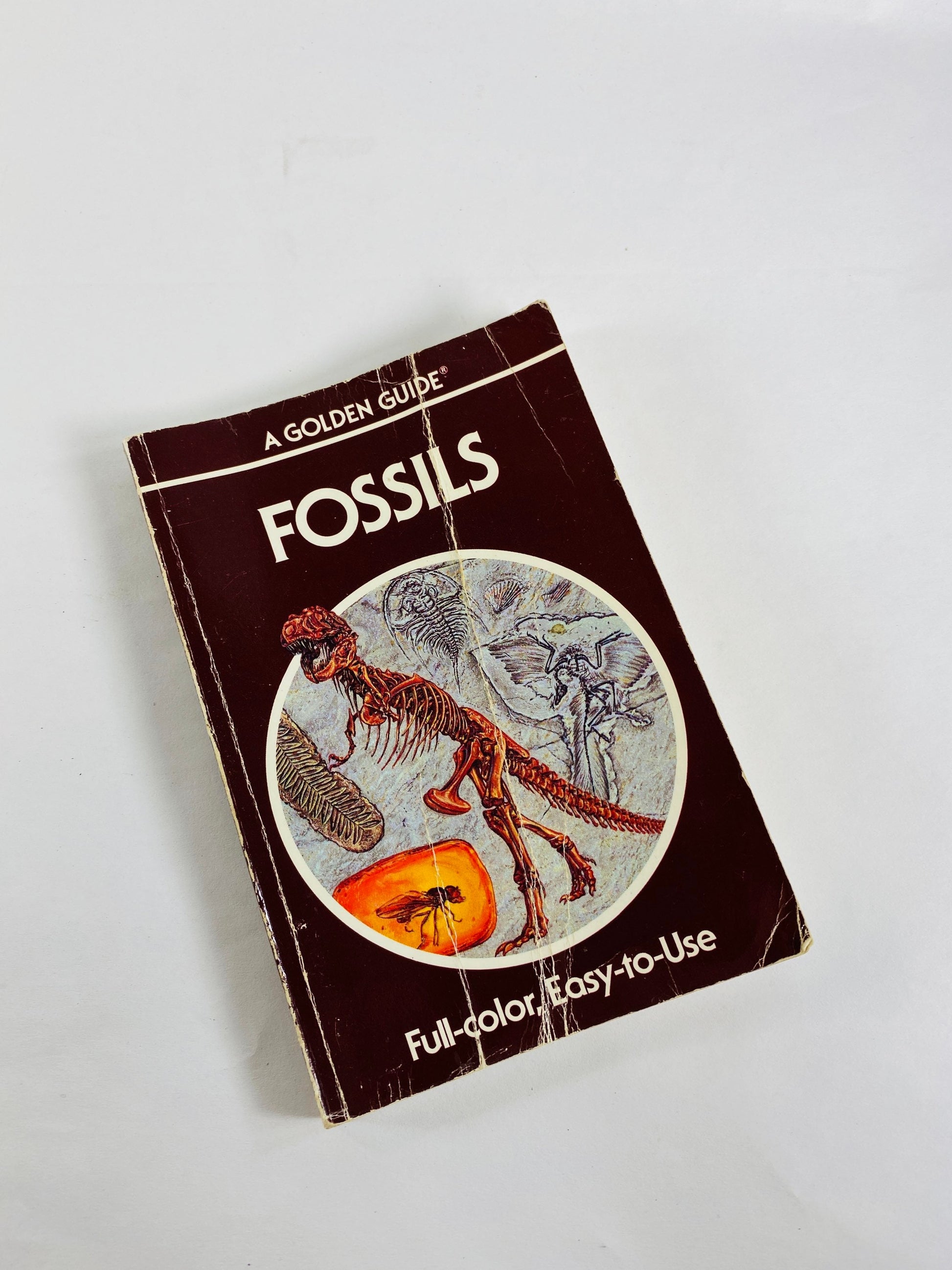 Golden Guide Book Fossils Seashells Fishes Vintage paperback books circa 1985 Whitman Golden