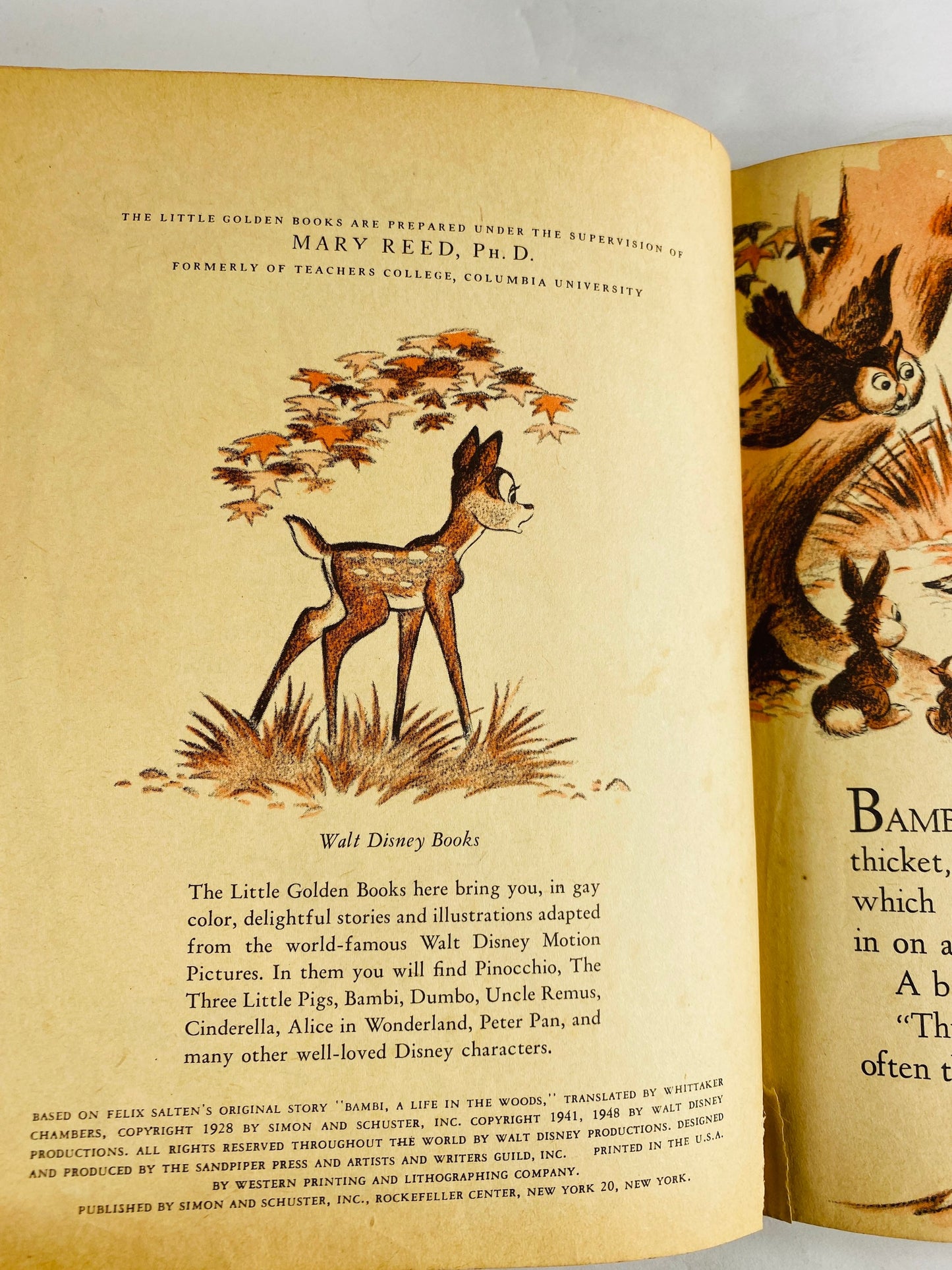 Bambi vintage Walt Disney Little Golden Book circa 1948 EARLY PRINTING. Collectible children's book nursery decor Multicolor back cover