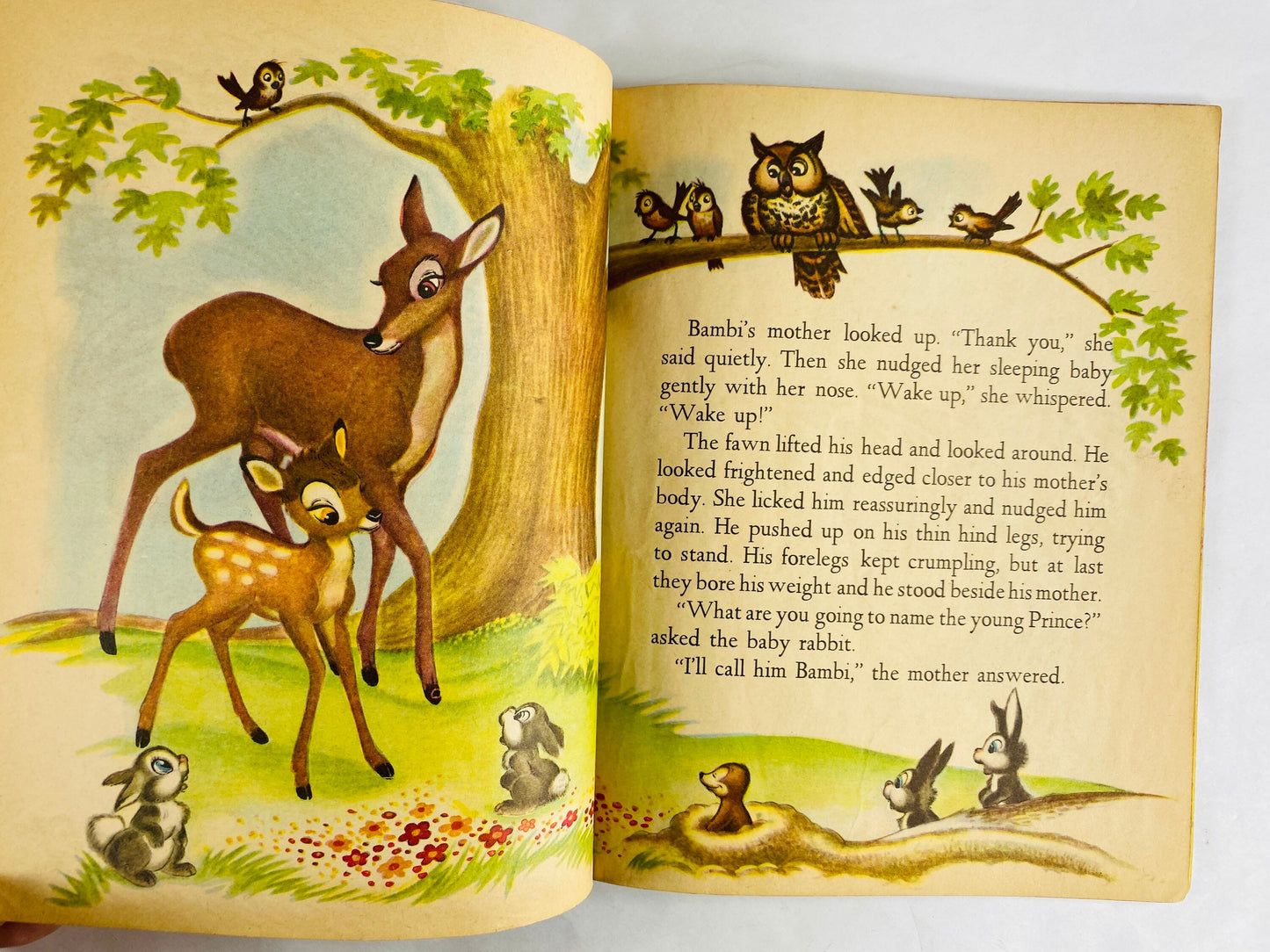 Bambi vintage Walt Disney Little Golden Book circa 1948 EARLY PRINTING. Collectible children's book nursery decor Multicolor back cover