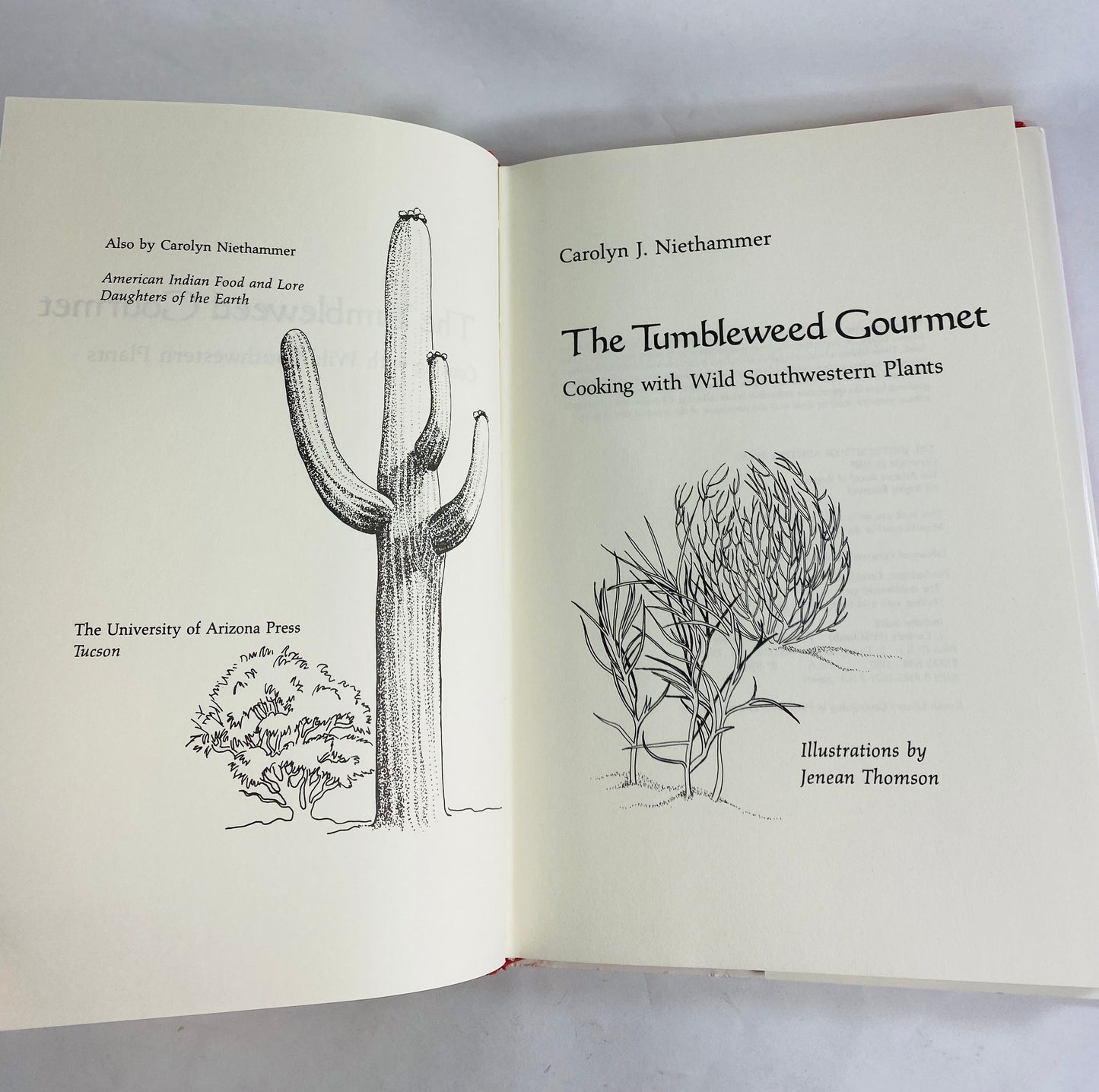 Tumbleweed Gourmet vintage cookbook circa 1987 Cooking With Wild Southwestern Plants by Carolyn Neithammer. Arizona botanical foods nature