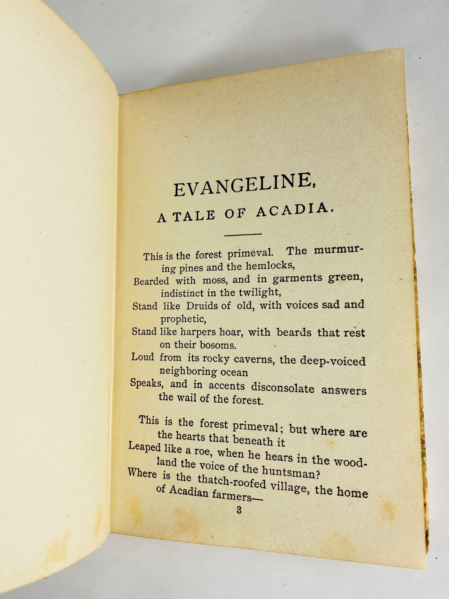 Evangeline by Henry Wadsworth Longfellow. Evangeline, an Acadian girl, and her search for her lost love. Vintage poetry book circa 1847