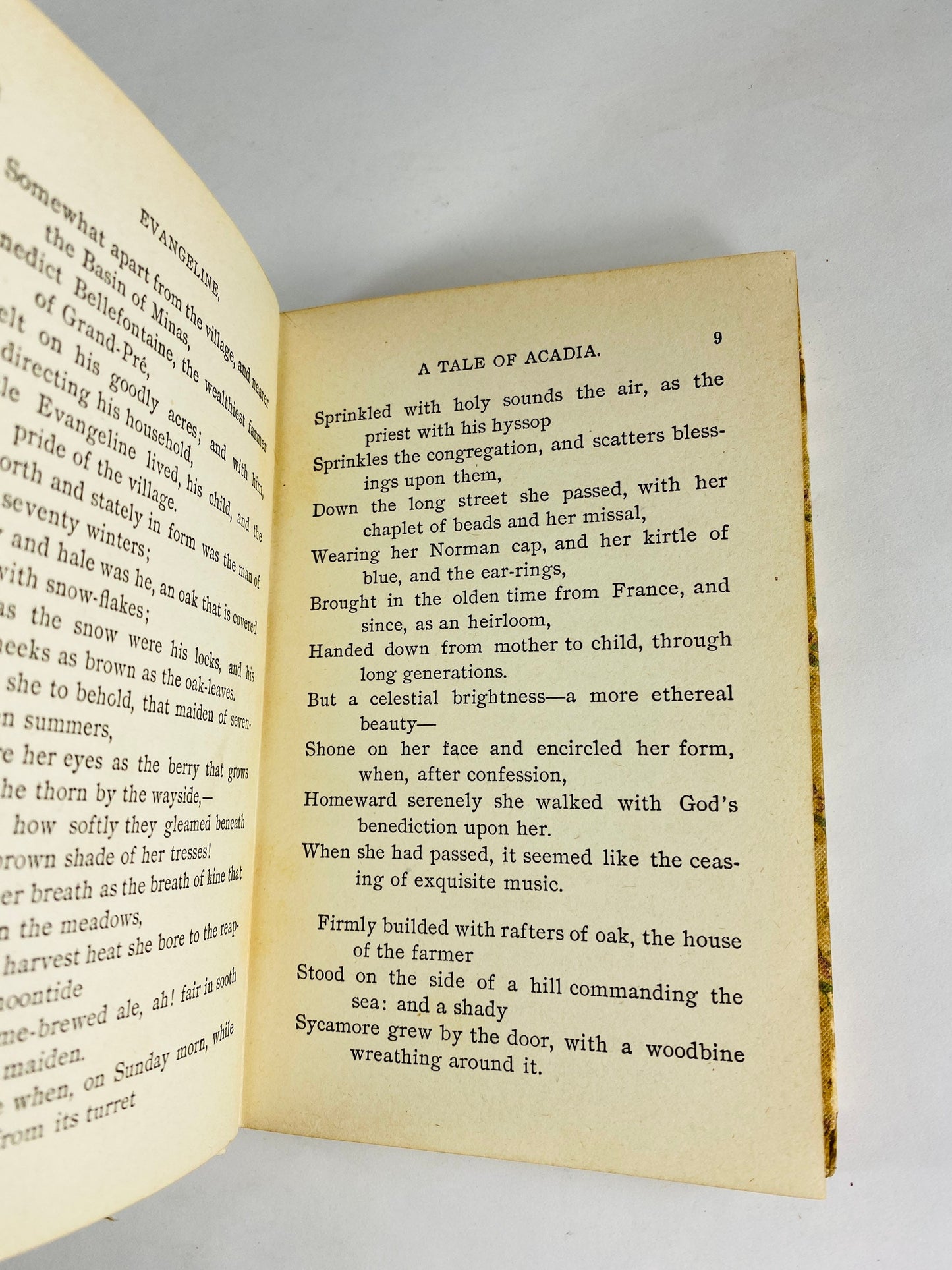 Evangeline by Henry Wadsworth Longfellow. Evangeline, an Acadian girl, and her search for her lost love. Vintage poetry book circa 1847