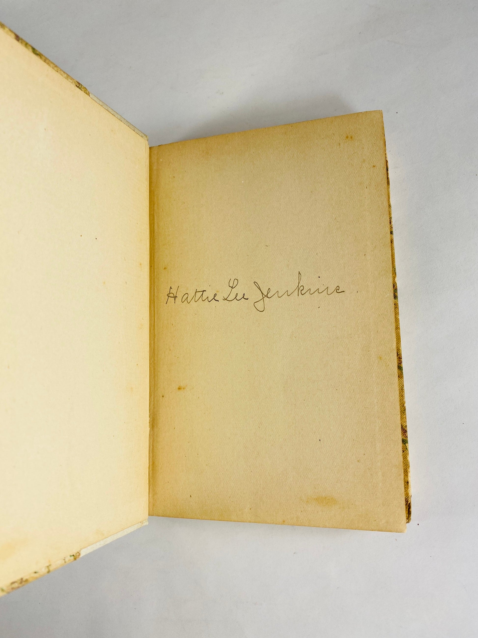 Evangeline by Henry Wadsworth Longfellow. Evangeline, an Acadian girl, and her search for her lost love. Vintage poetry book circa 1847