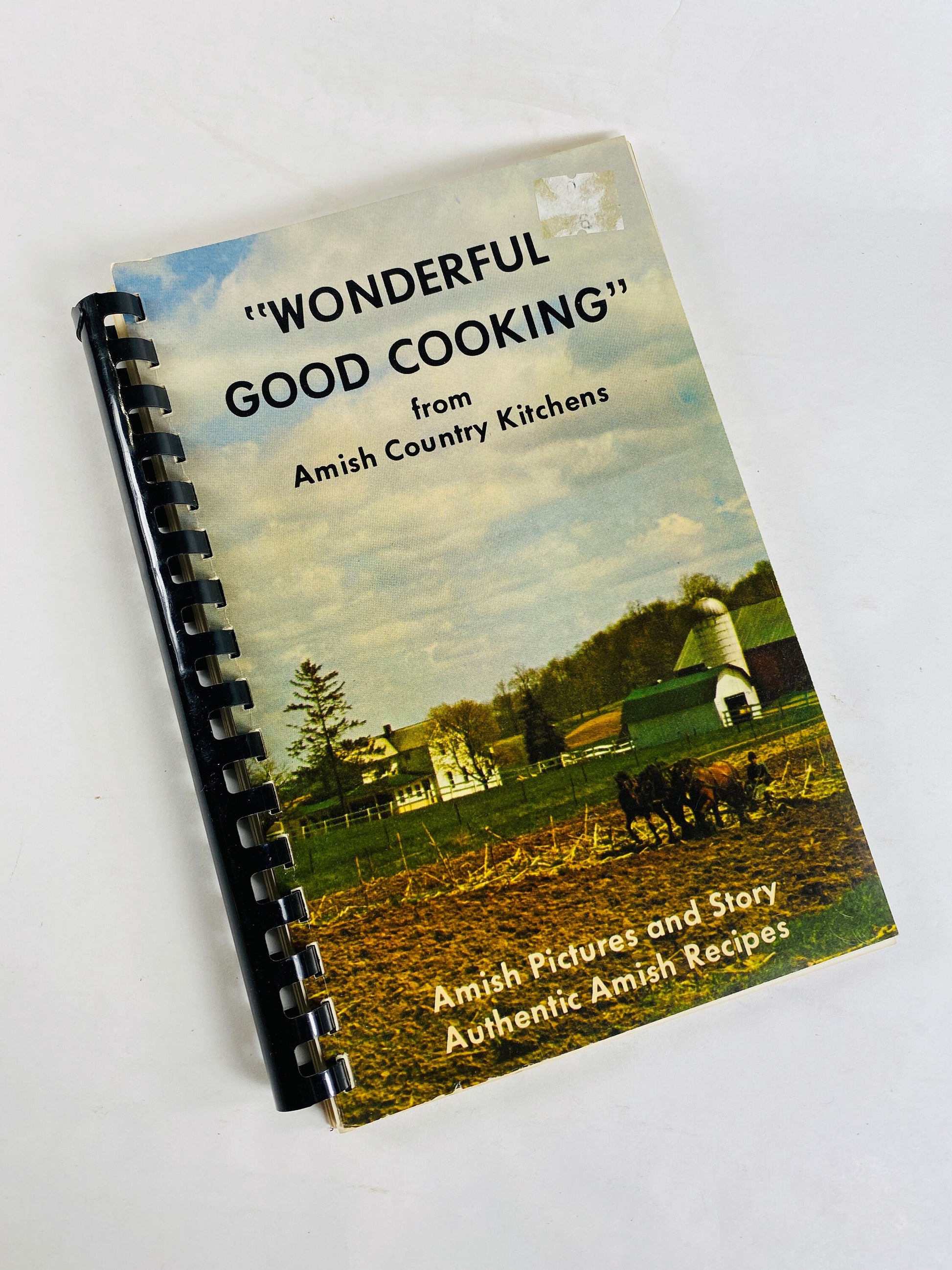 Pennsylvania Dutch Cookbook Wonderful Good Cooking from Amish Country Kitchens vintage cookbook recipes circa 1975 Quaker PA Old Fashioned