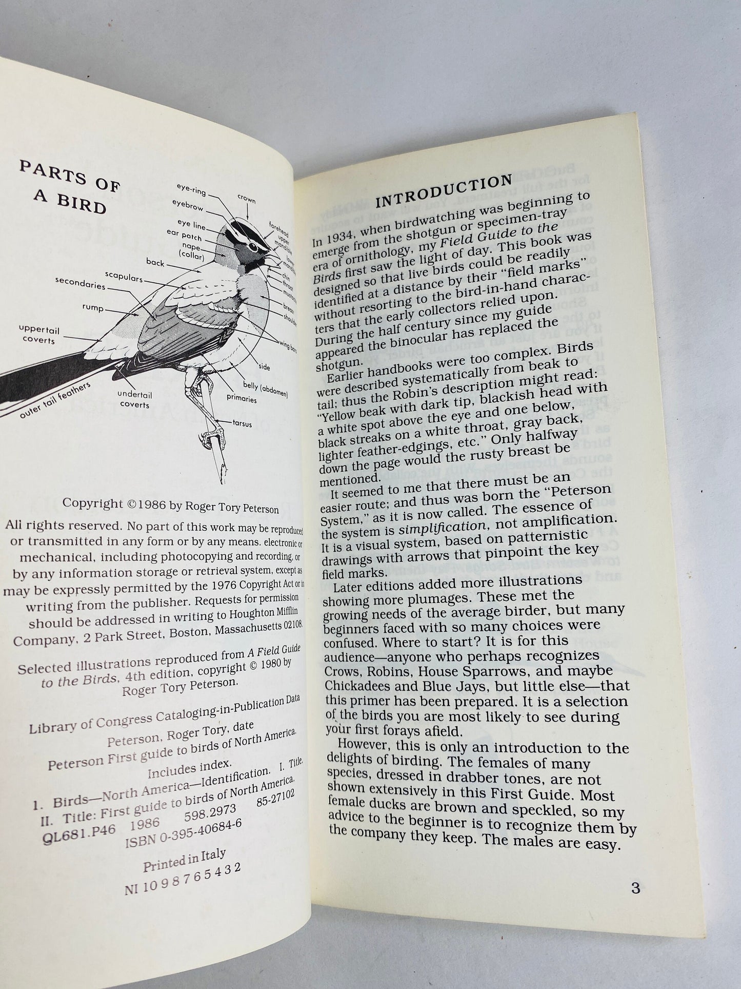 1985 Roger Tory Peterson First Guides to Birds Vintage simplified paperback book. National Audubon Society Field Guide gift