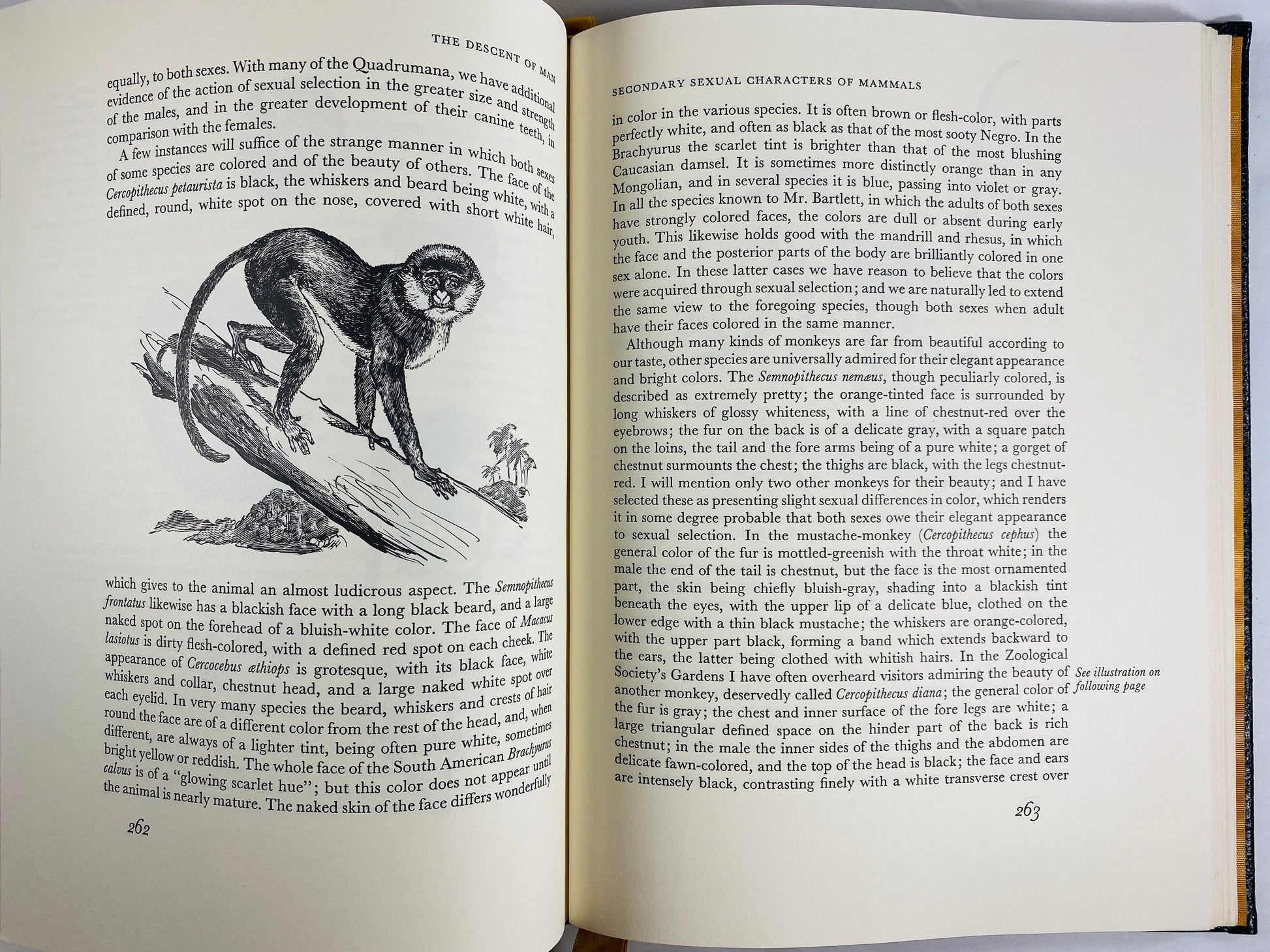 Charles Darwin Descent of Man Selection in Relation to Sex GORGEOUS Easton Press leather bound book 22kt gilt outdoors nature lover gift