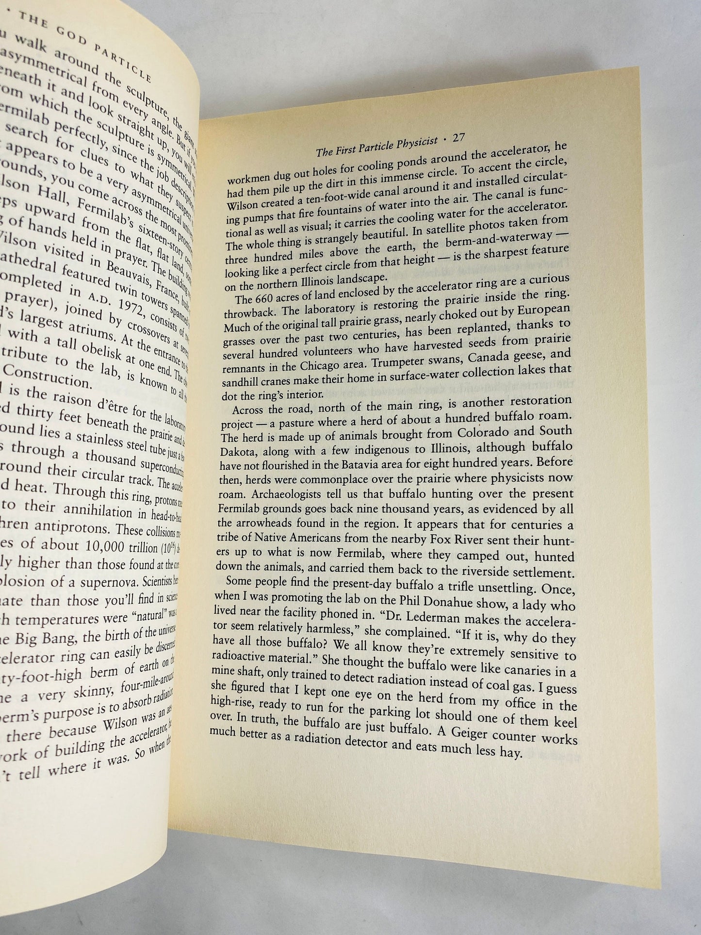 God Particle vintage paperback book by Leon Lederman circa 1994 about the eureka moments that brought us the secrets of the universe Science