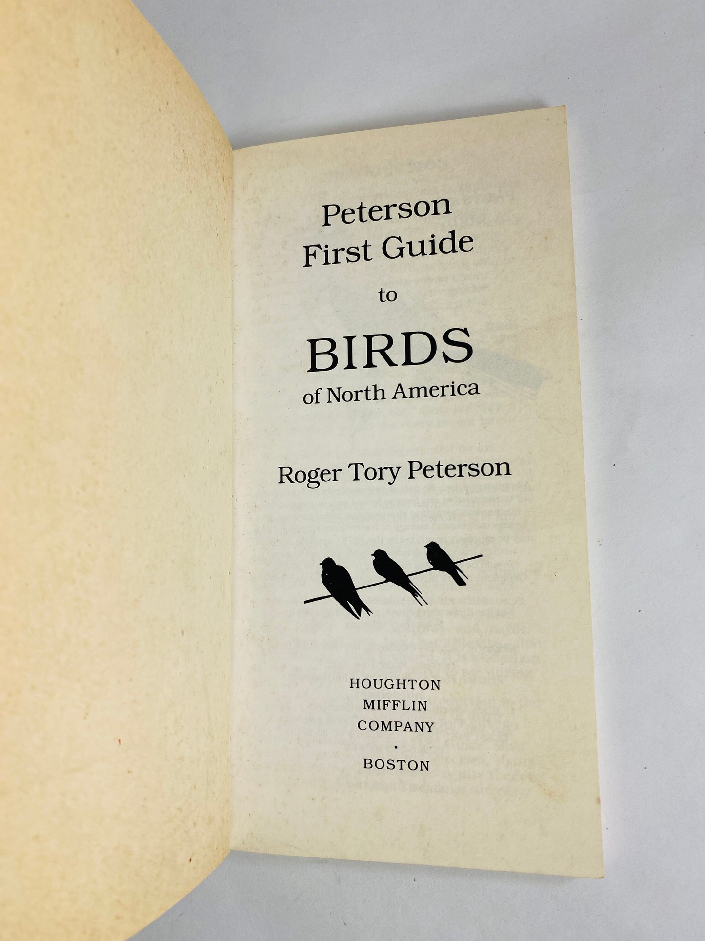 1985 Roger Tory Peterson First Guides to Birds Vintage simplified paperback book. National Audubon Society Field Guide gift