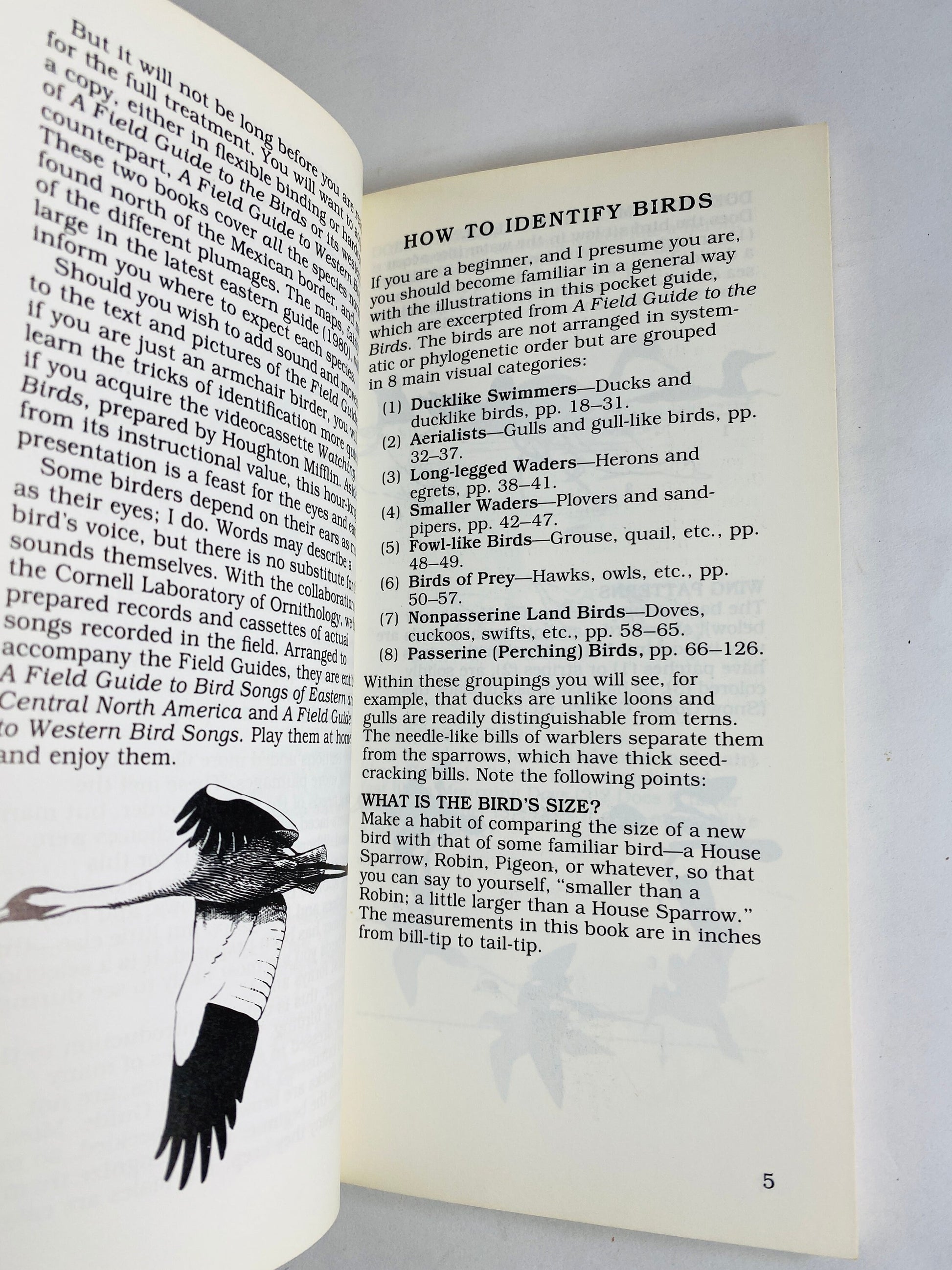 1985 Roger Tory Peterson First Guides to Birds Vintage simplified paperback book. National Audubon Society Field Guide gift