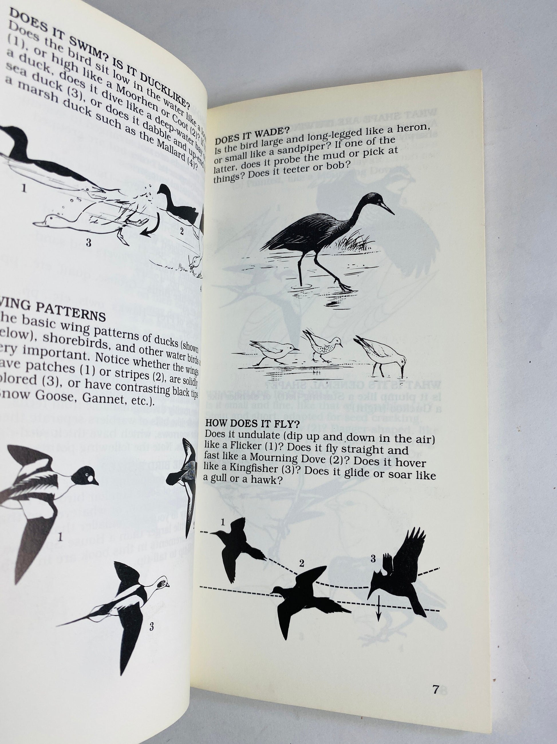 1985 Roger Tory Peterson First Guides to Birds Vintage simplified paperback book. National Audubon Society Field Guide gift