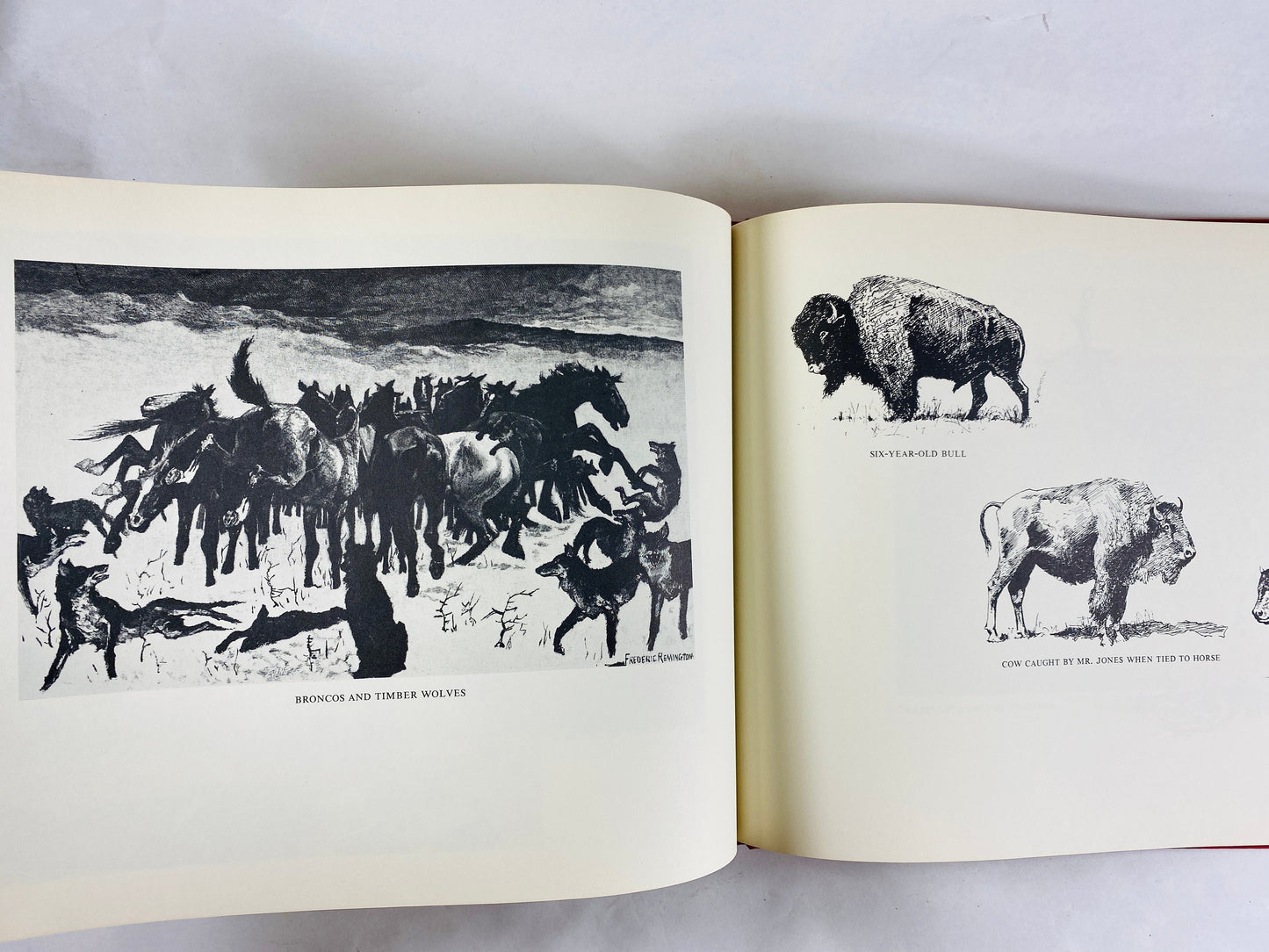 American Old West Frederic Remington artist illustrations vintage book circa 1970 original art. Yellowstone cowboys and war scenes