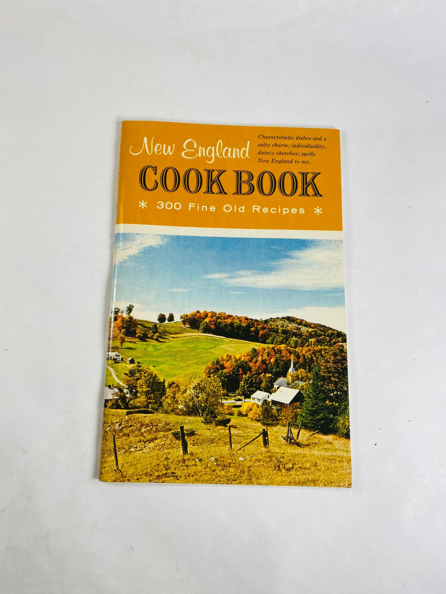 New England Cookbook booklet 1976 publication. Amish Dutch Recipes. Vintage Cook Book. Mennonite Recipes Quaker PA Old Fashioned