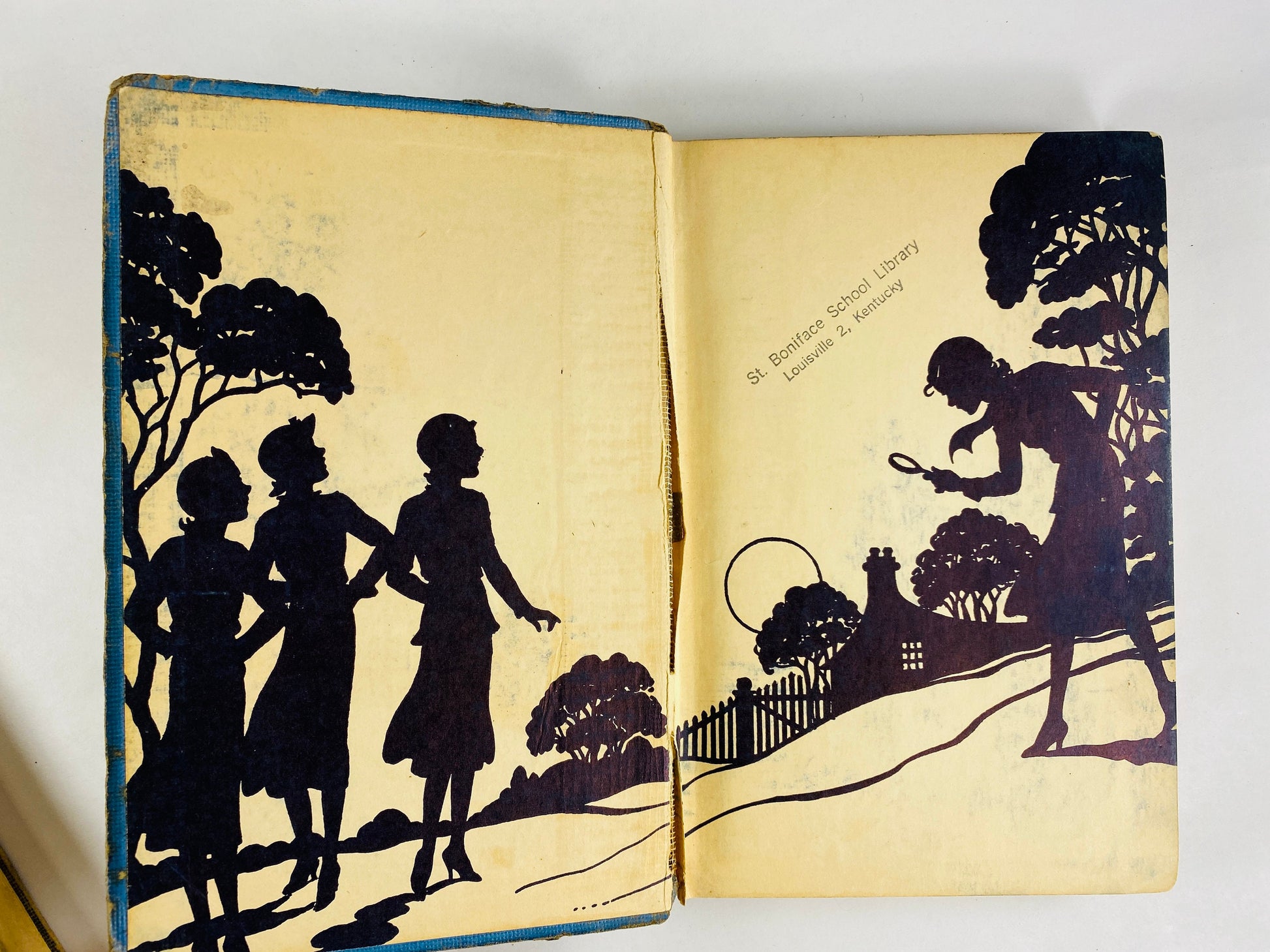 Vintage Nancy Drew Mystery books Carolyn Keene silhouette endpapers Twisted Candles Leaning Chminey Velvet Mask Former LIBRARY books