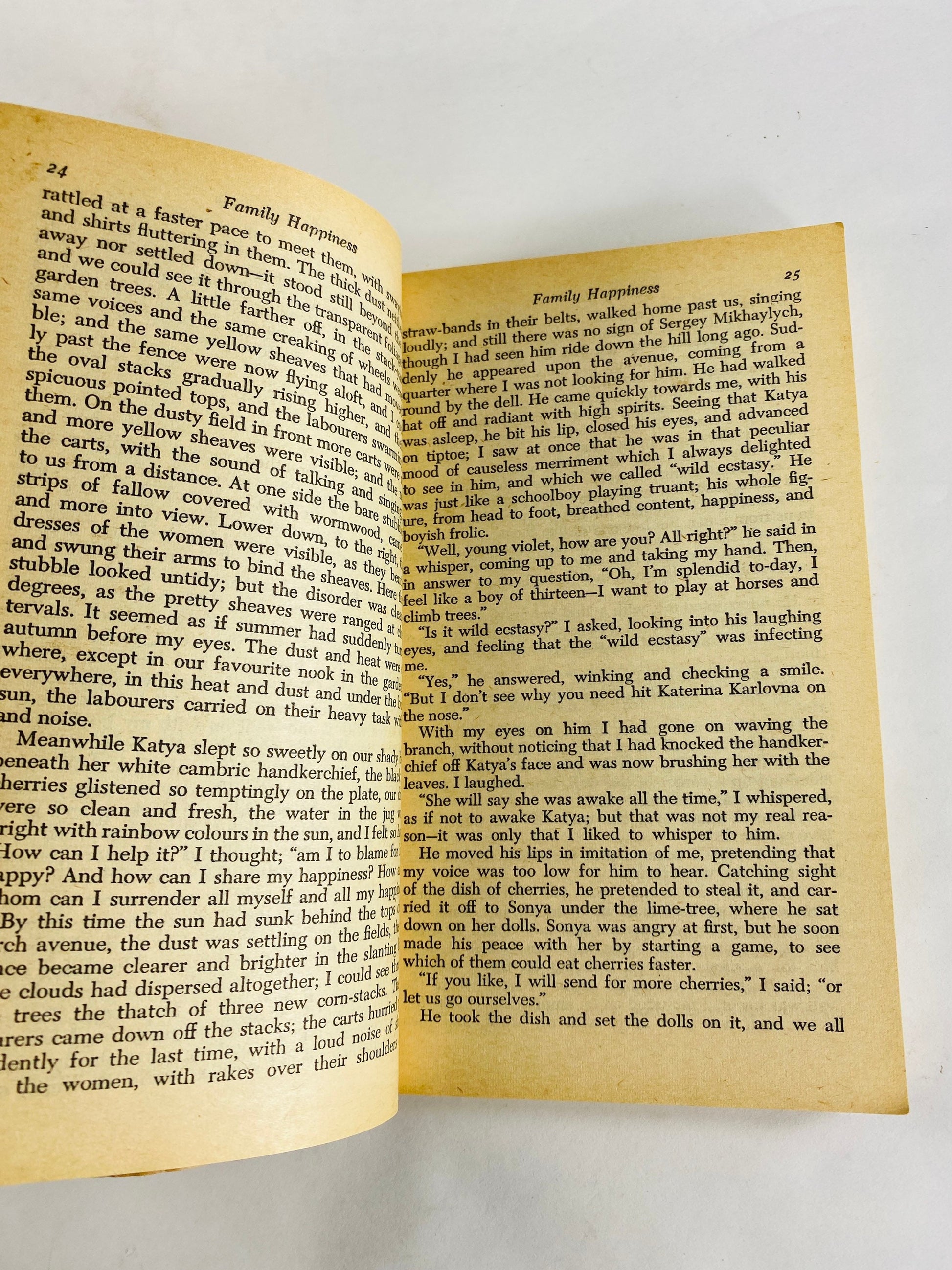 Leo Tolstoy Death of Ivan Ilych Vintage Signet Paperback book circa 1960 Kreutzer Sonata, Master & Mann, Family Happiness short stories