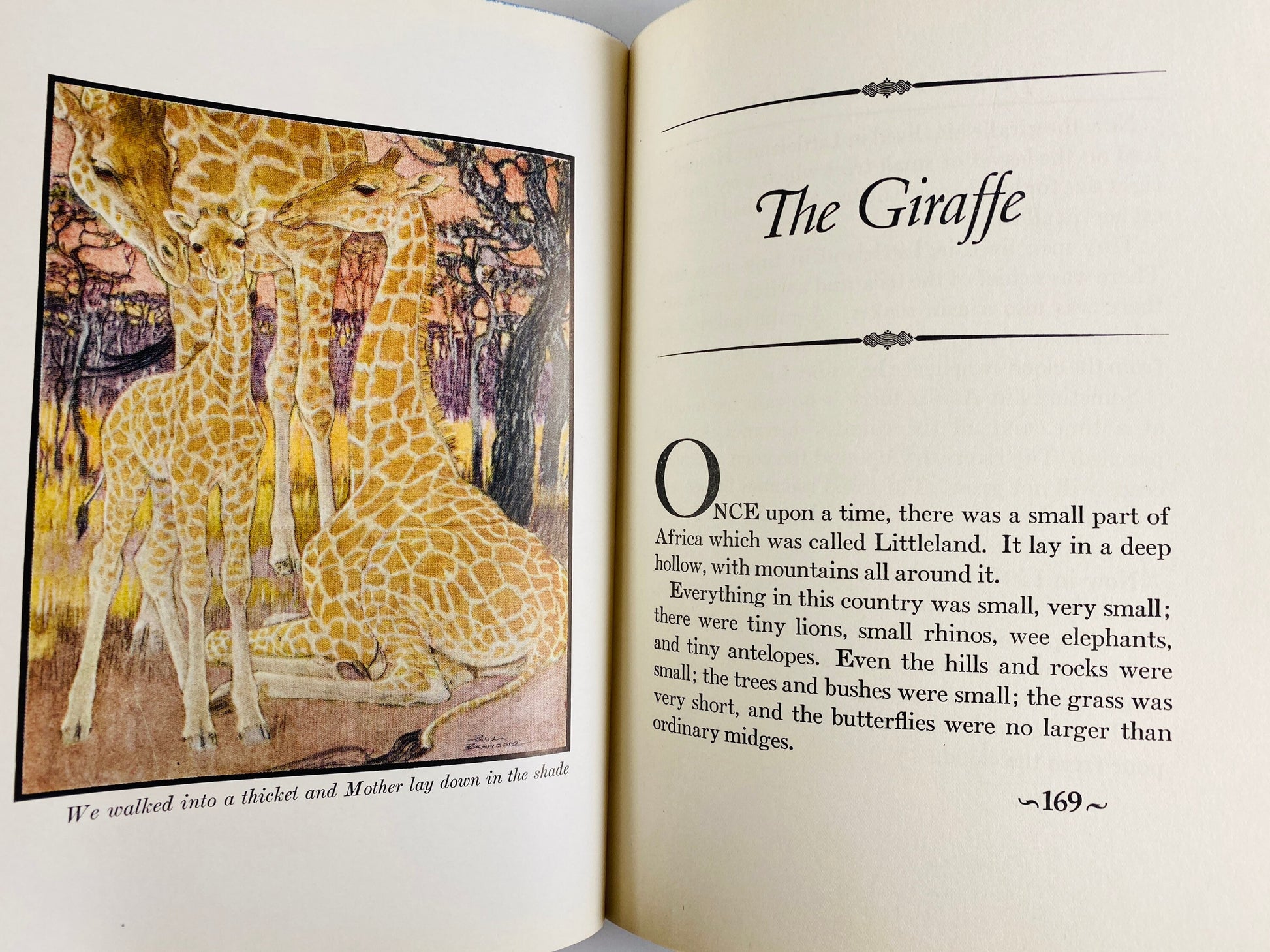 1934 Jungle Babies vintage book by Edyth Kaigh-Eustace children’s stories of baby animals Newborn birthday gift lion cub