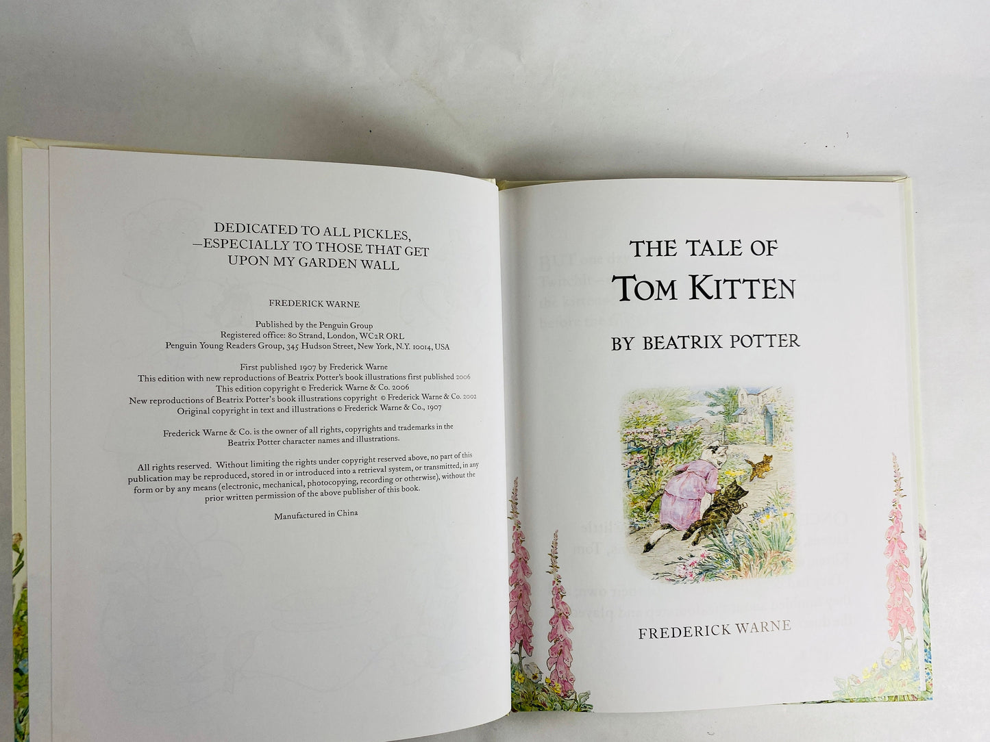 Beatrix Potter Tale of Peter Rabbit vintage children’s book Two Bad Mice Squirrel Nutkin Jemima Puddle Duck Flopsy Bunnies Tailor Gloucester