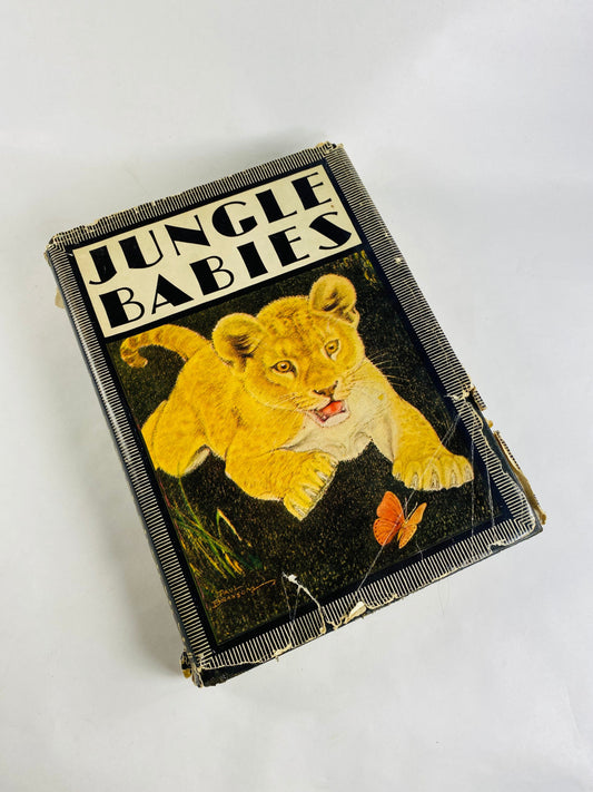 1934 Jungle Babies vintage book by Edyth Kaigh-Eustace children’s stories of baby animals Newborn birthday gift lion cub