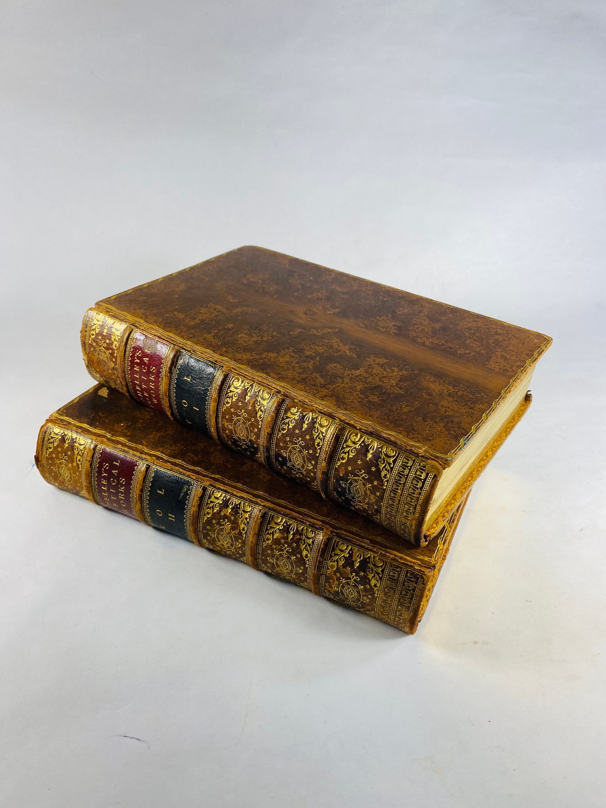 Two-volume set of The Poetical Works of Percy Bysshe Shelley, with notes by Mary Wollstonecraft Shelley. Each volume features a frontispiece illustration, with elegant brown leather bindings and richly gilt-embossed spines.