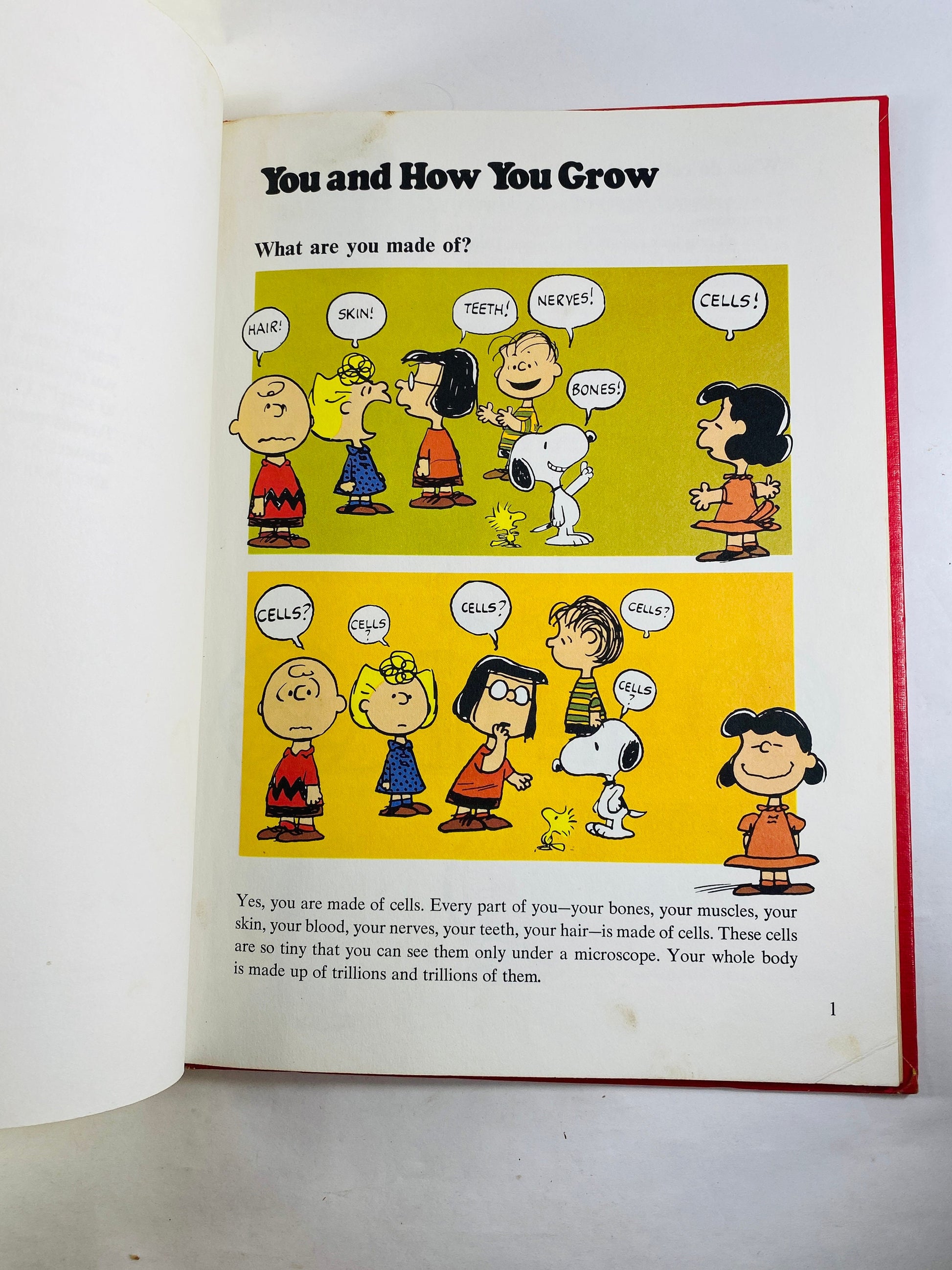 Vintage Charlie Brown Encyclopedia Book Series Charles Schultz Snoopy Featuring Your Body