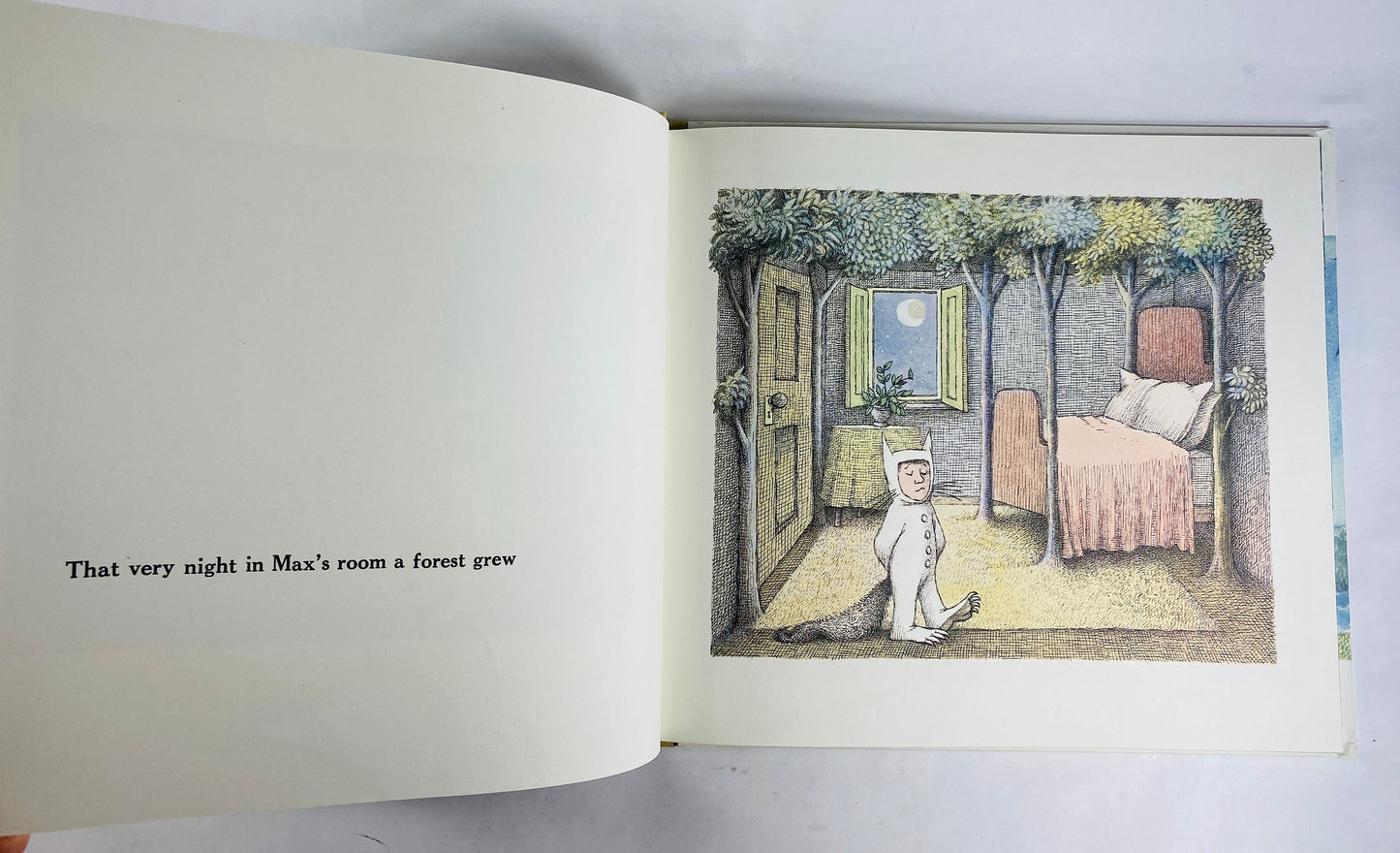 Where the Wild Things Are vintage children's book by Maurice Sendak circa 1991 25th Anniversary EDITION Caldecott Medal