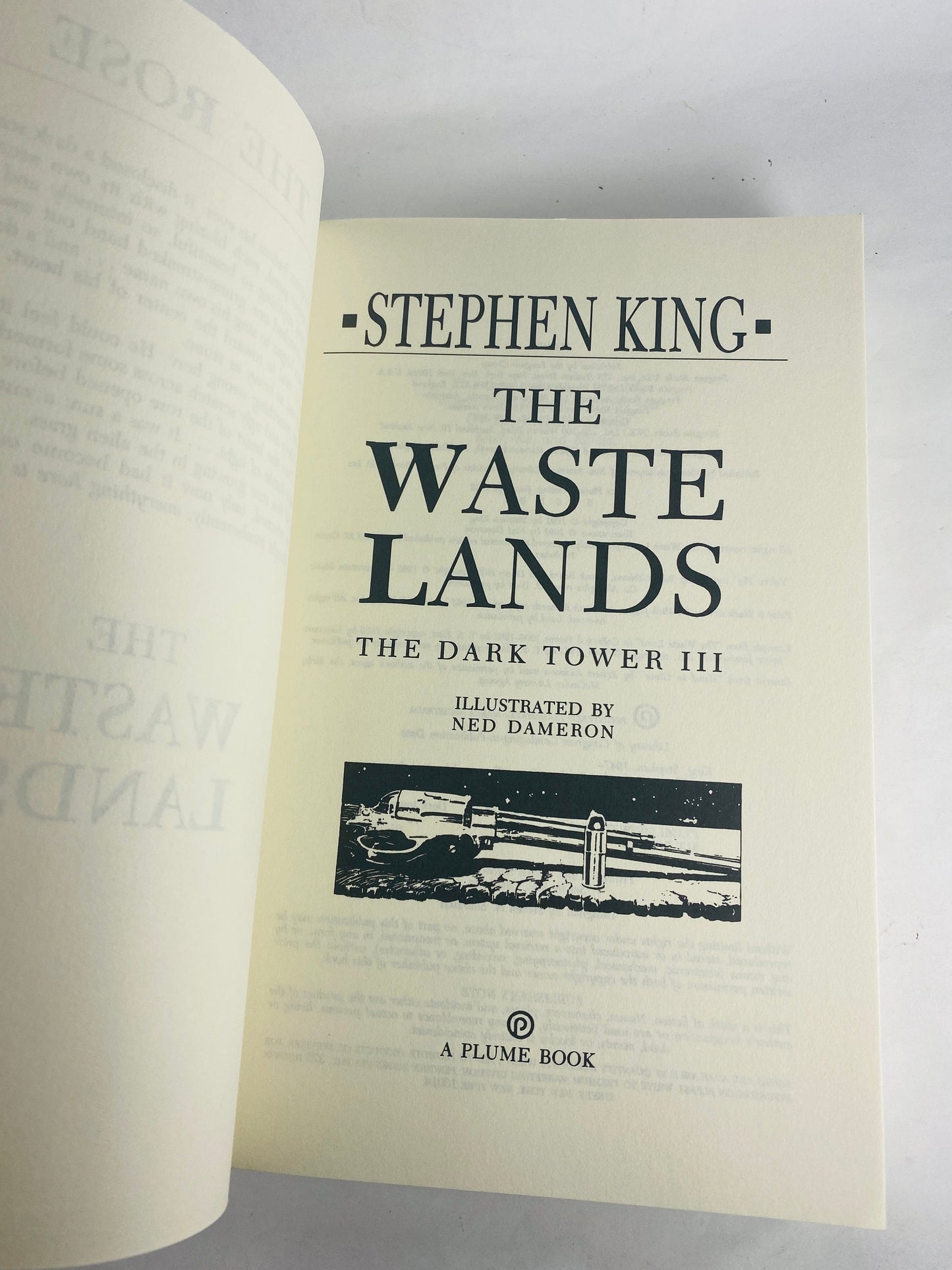 Dark Tower III Waste Lands by Stephen King Vintage FIRST Plume paperback book circa 1992 Horror gothic Book Gift