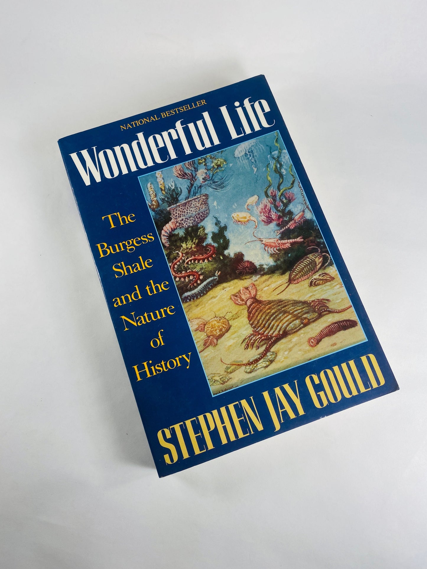 Wonderful Life vintage paperback book by Stephen Jay Gould circa 1989 Burgess Shale and the Nature of History