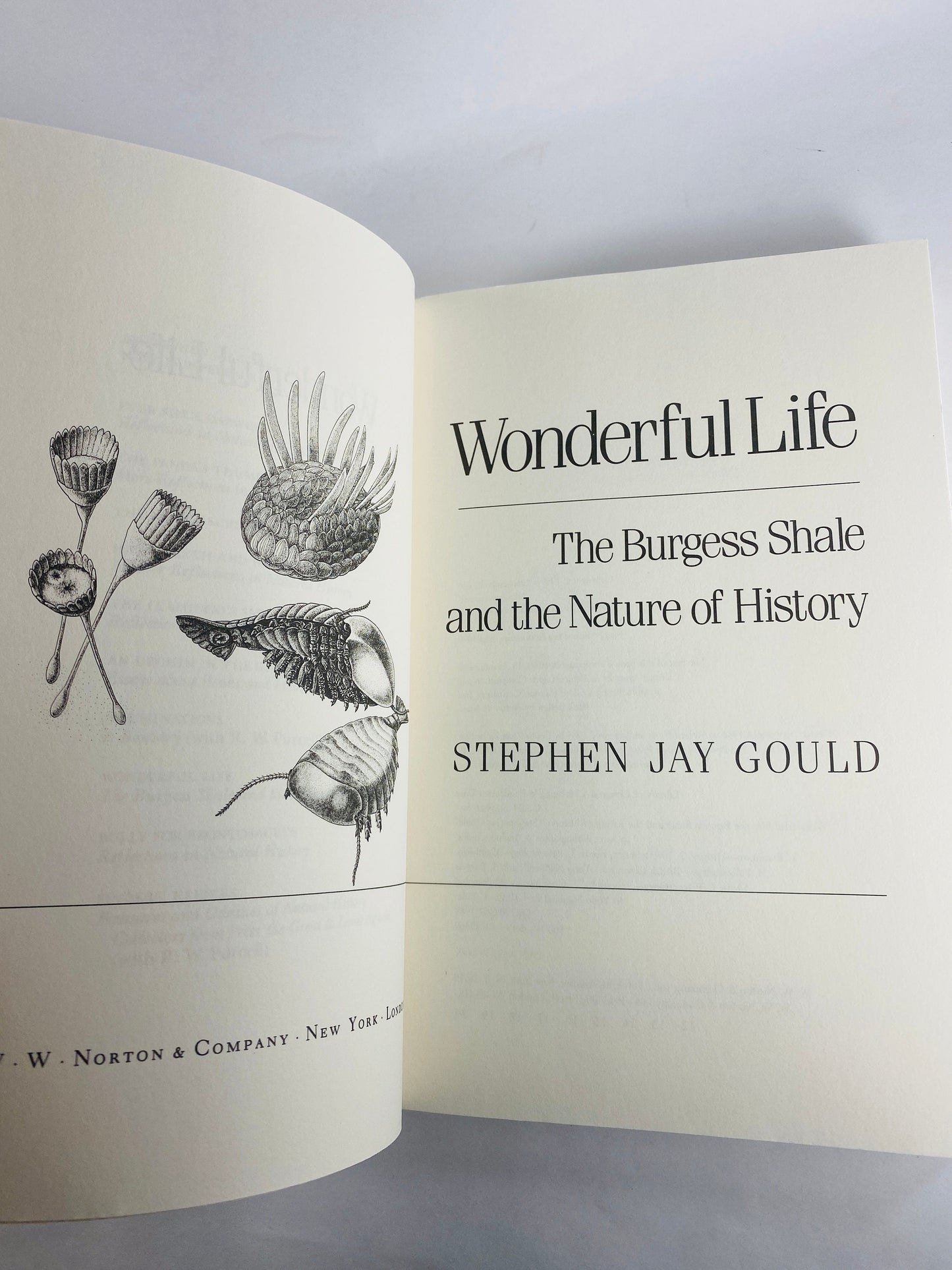 Wonderful Life vintage paperback book by Stephen Jay Gould circa 1989 Burgess Shale and the Nature of History