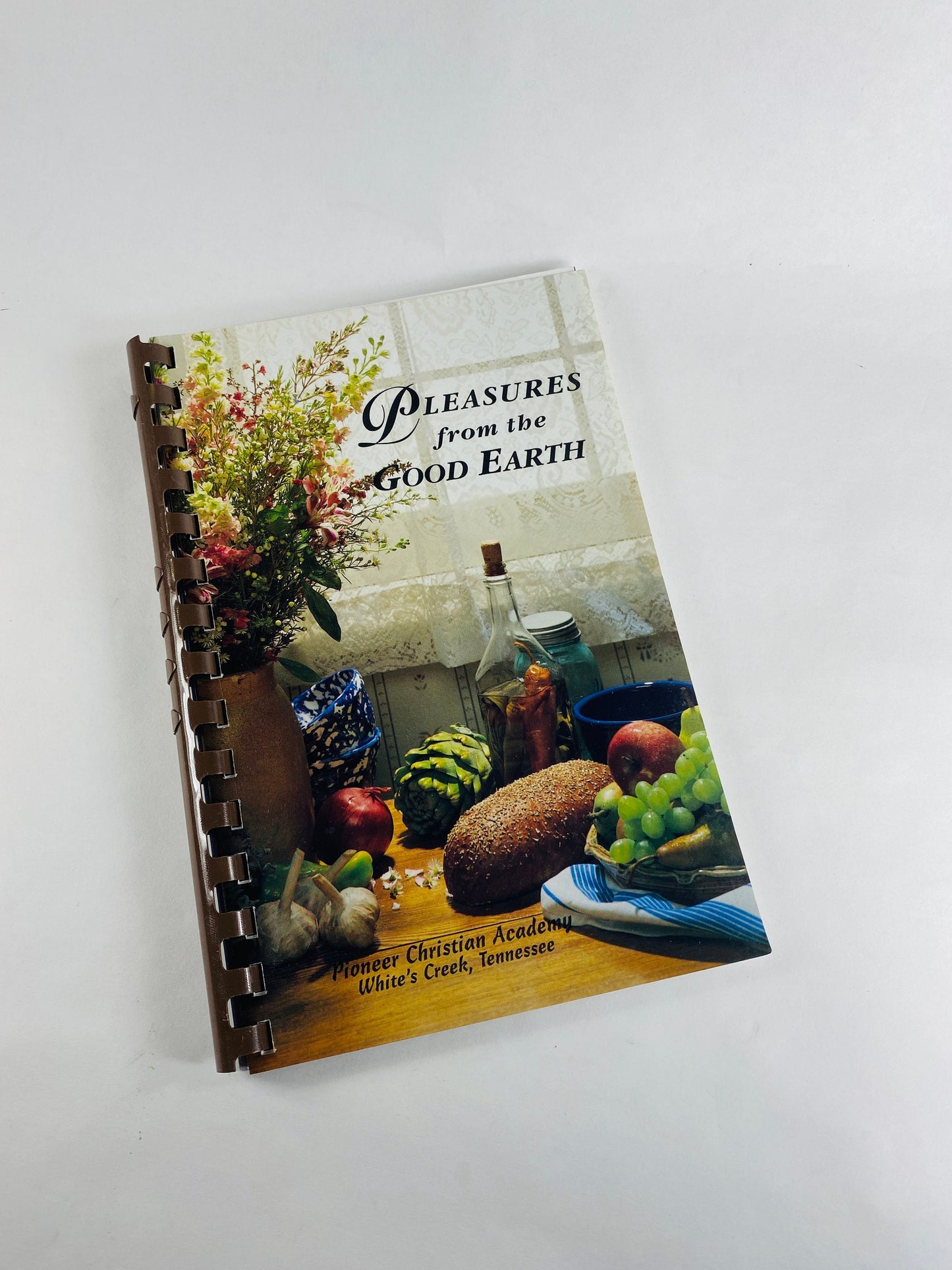 Pleasures from the Good Earth vintage cookbook Pioneer Christian Academy White's Creek Tennessee circa 1996 Fruit Dip Chocolate Chess Pie