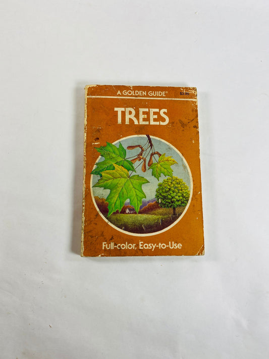 Golden Guide Book to Trees vintage paperback books circa 1985 Whitman Golden