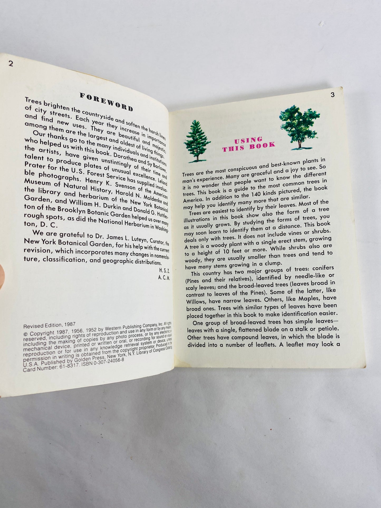 Golden Guide Book to Trees vintage paperback books circa 1985 Whitman Golden