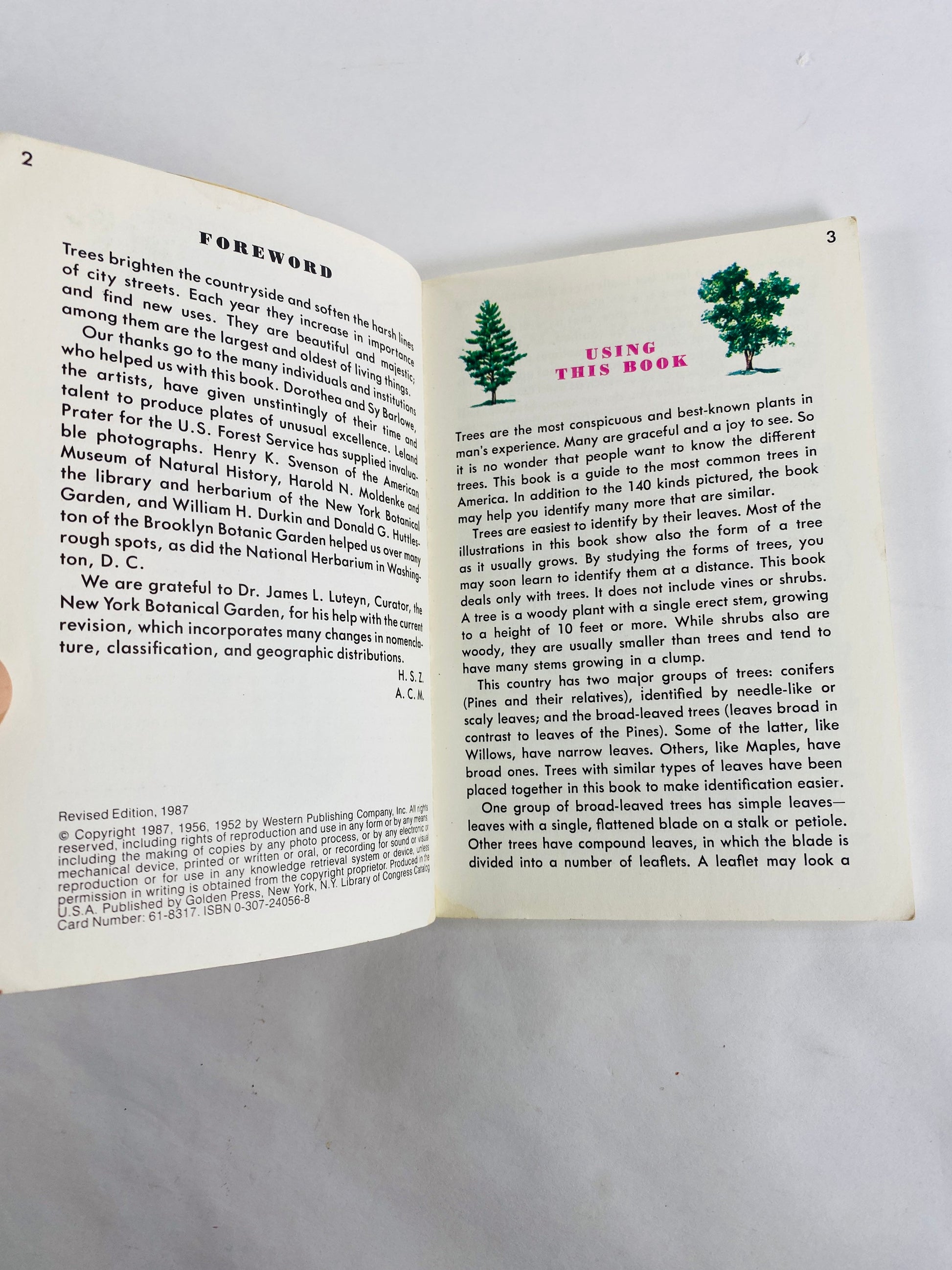 Golden Guide Book to Trees vintage paperback books circa 1985 Whitman Golden