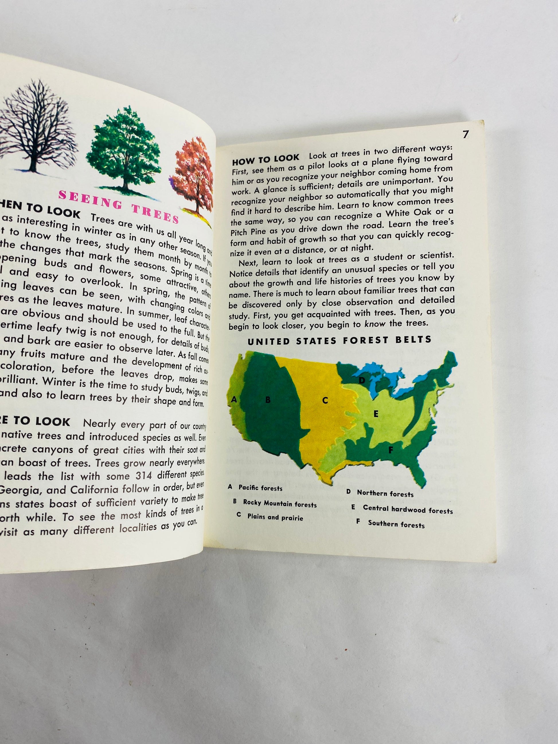 Golden Guide Book to Trees vintage paperback books circa 1985 Whitman Golden