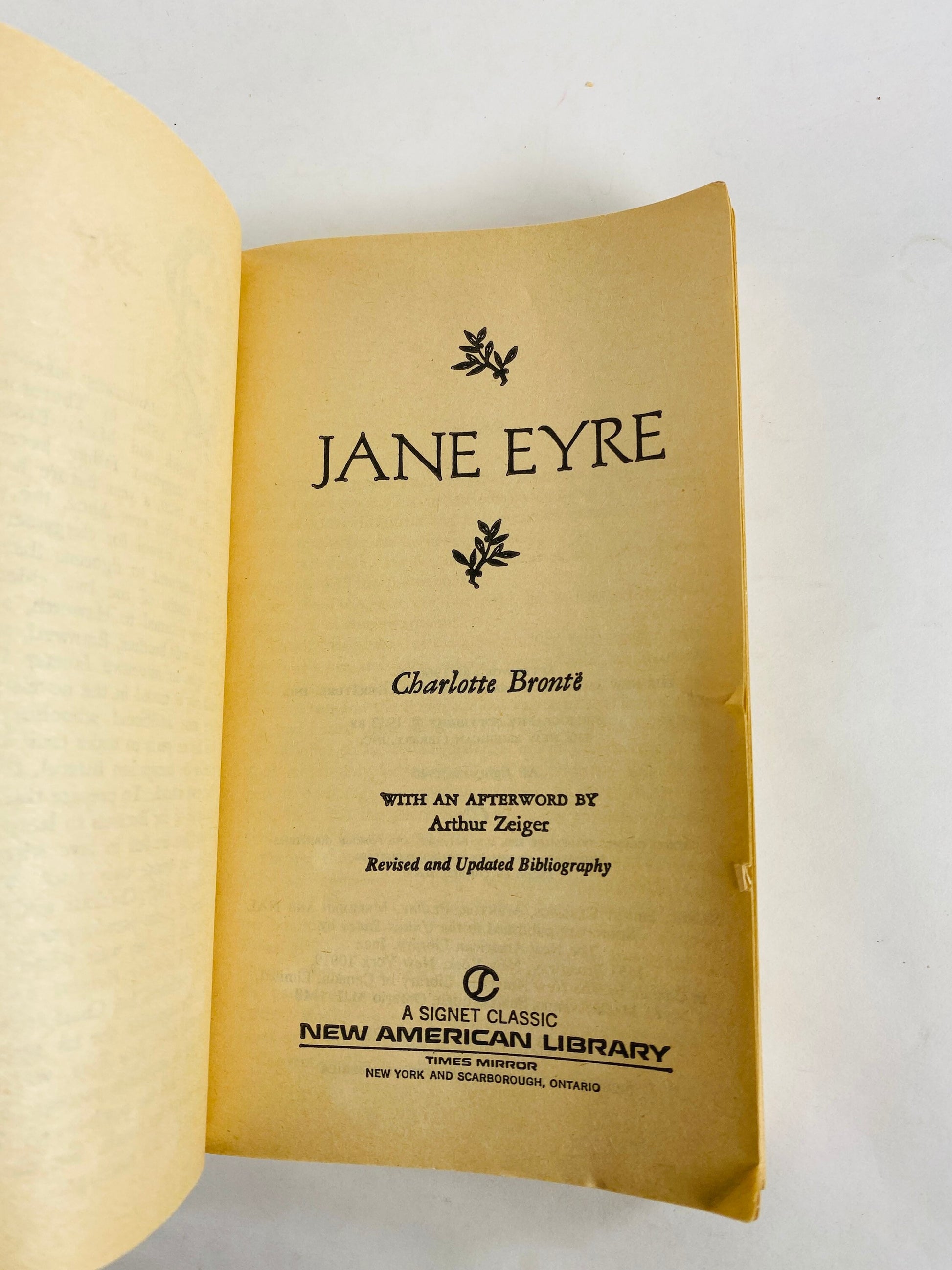 1960 Jane Eyre by Signet paperback book New American Library. Christmas stocking stuffer