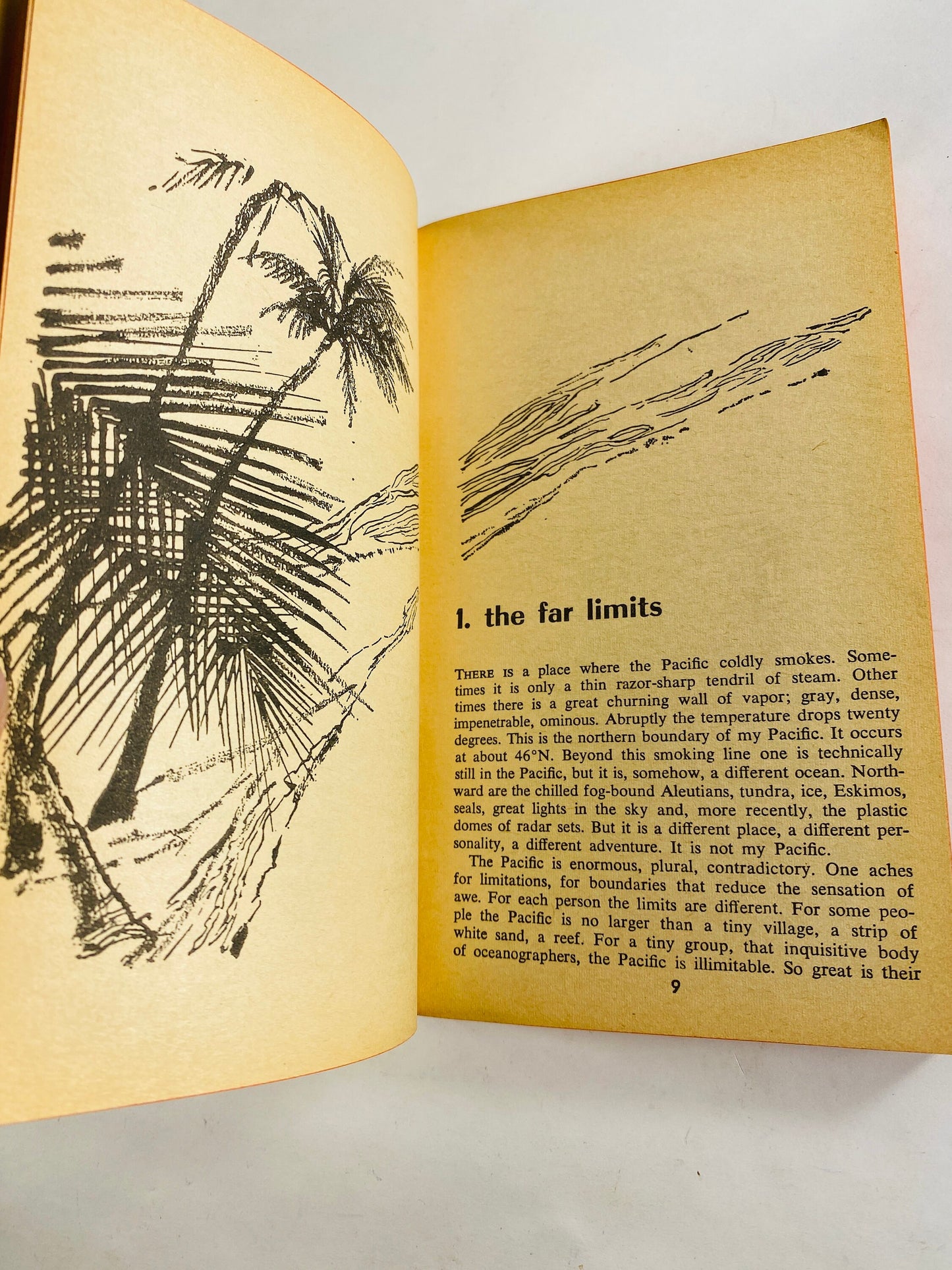 Blue of Capricorn vintage paperback book by Eugene Burdick circa 1961 stories of men of all races who fought and loved in ocean's reflection