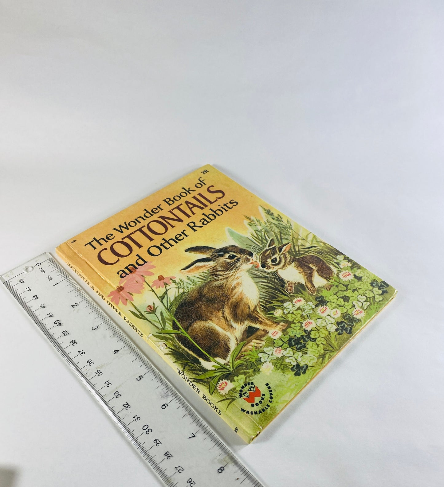 Wonder Book of Cottontails and other Rabbits vintage children's book circa 1965 by Cynthia Koehler BEAUTIFUL illustrations!