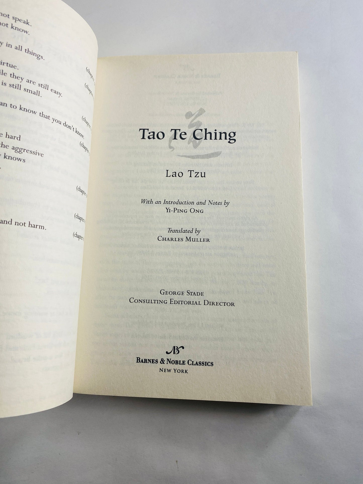 Lao Tzu Tao Te Ching Vintage philosophy paperback book Easter basket stuffer Mother's Day gift