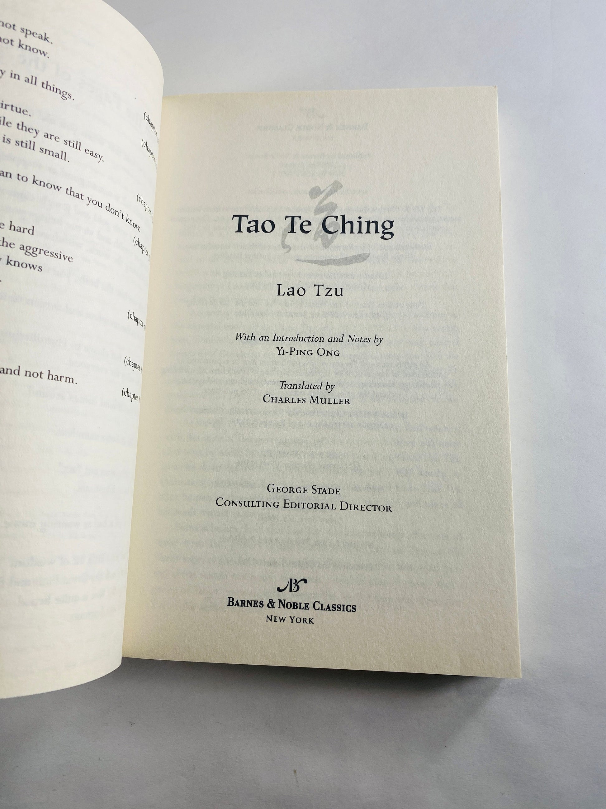 Lao Tzu Tao Te Ching Vintage philosophy paperback book Easter basket stuffer Mother's Day gift