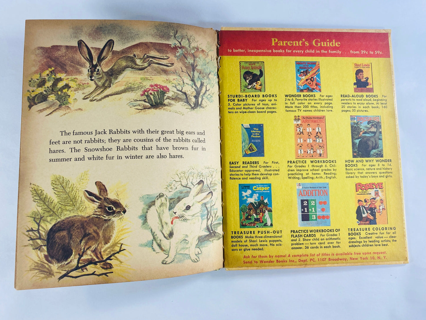 Wonder Book of Cottontails and other Rabbits vintage children's book circa 1965 by Cynthia Koehler BEAUTIFUL illustrations!