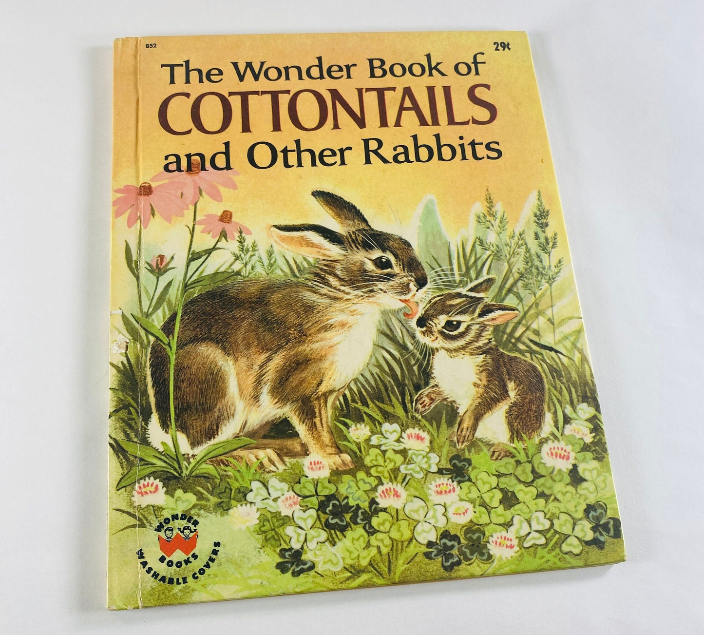 Wonder Book of Cottontails and other Rabbits vintage children's book circa 1965 by Cynthia Koehler BEAUTIFUL illustrations!