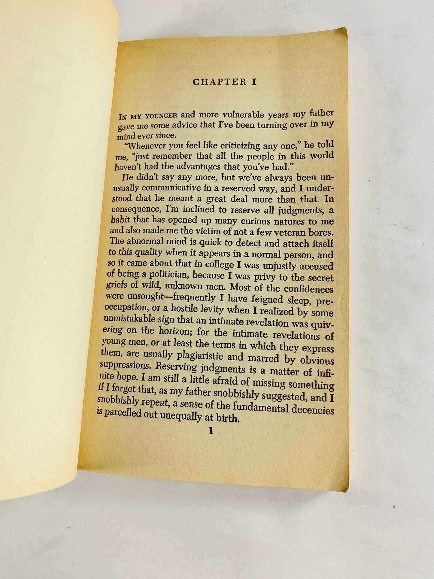 Great Gatsby by F Scott Fitzgerald. Vintage paperback book circa 1971. Scribner Library Classic. American literature! Book lover gift.