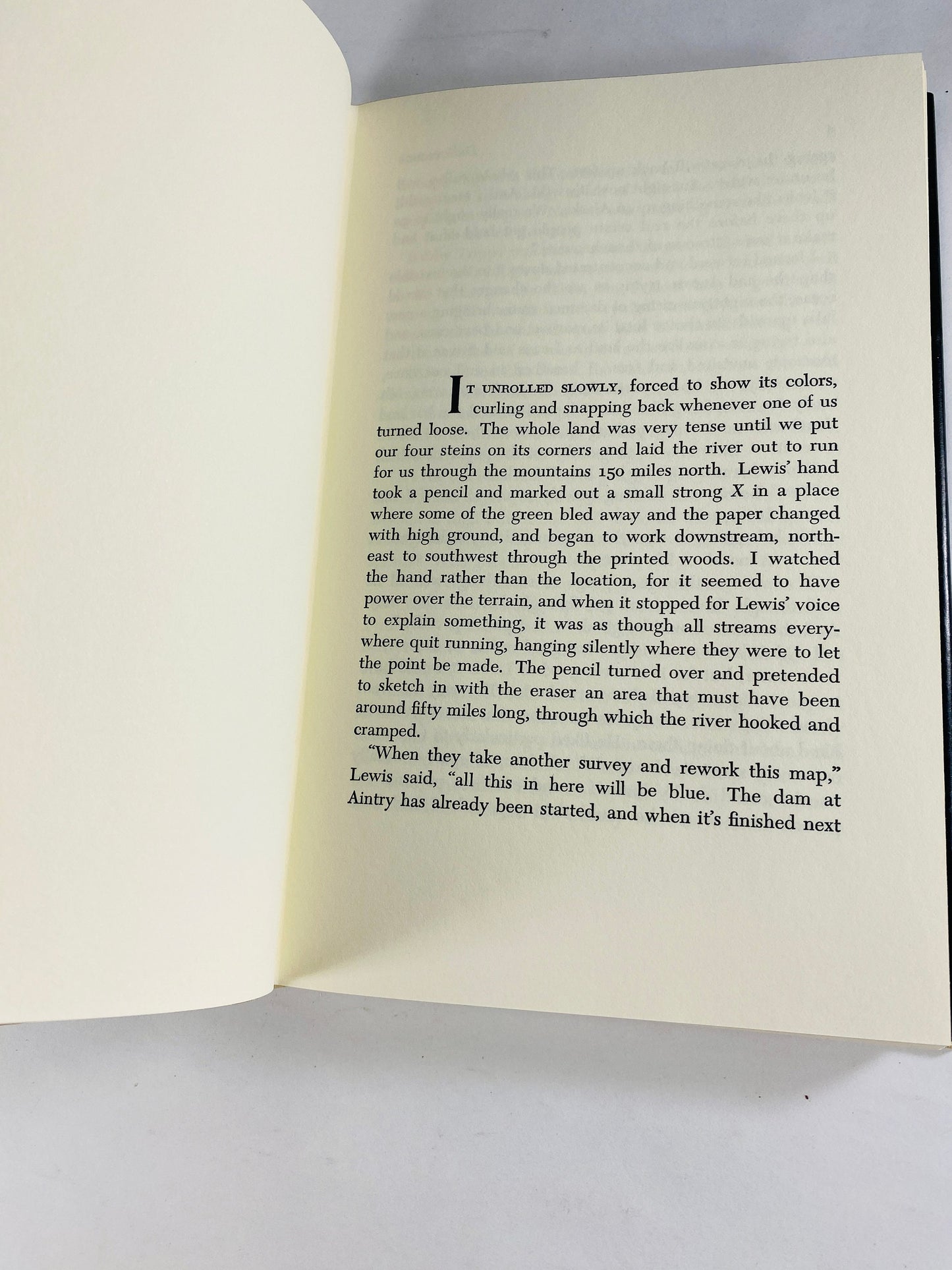 Deliverance vintage book by James Dickey COLLECTIBLE story of businessmen from Georgia who go canoeing in a West Virginia river Father's Day