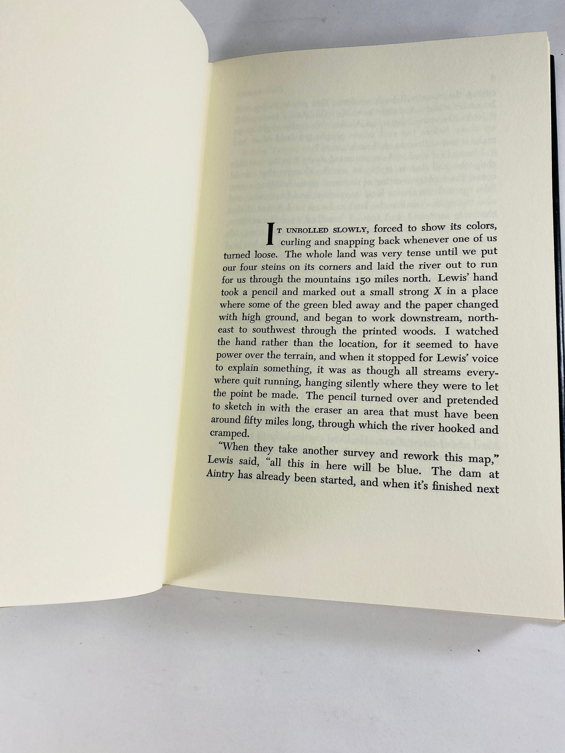 Deliverance vintage book by James Dickey COLLECTIBLE story of businessmen from Georgia who go canoeing in a West Virginia river Father's Day