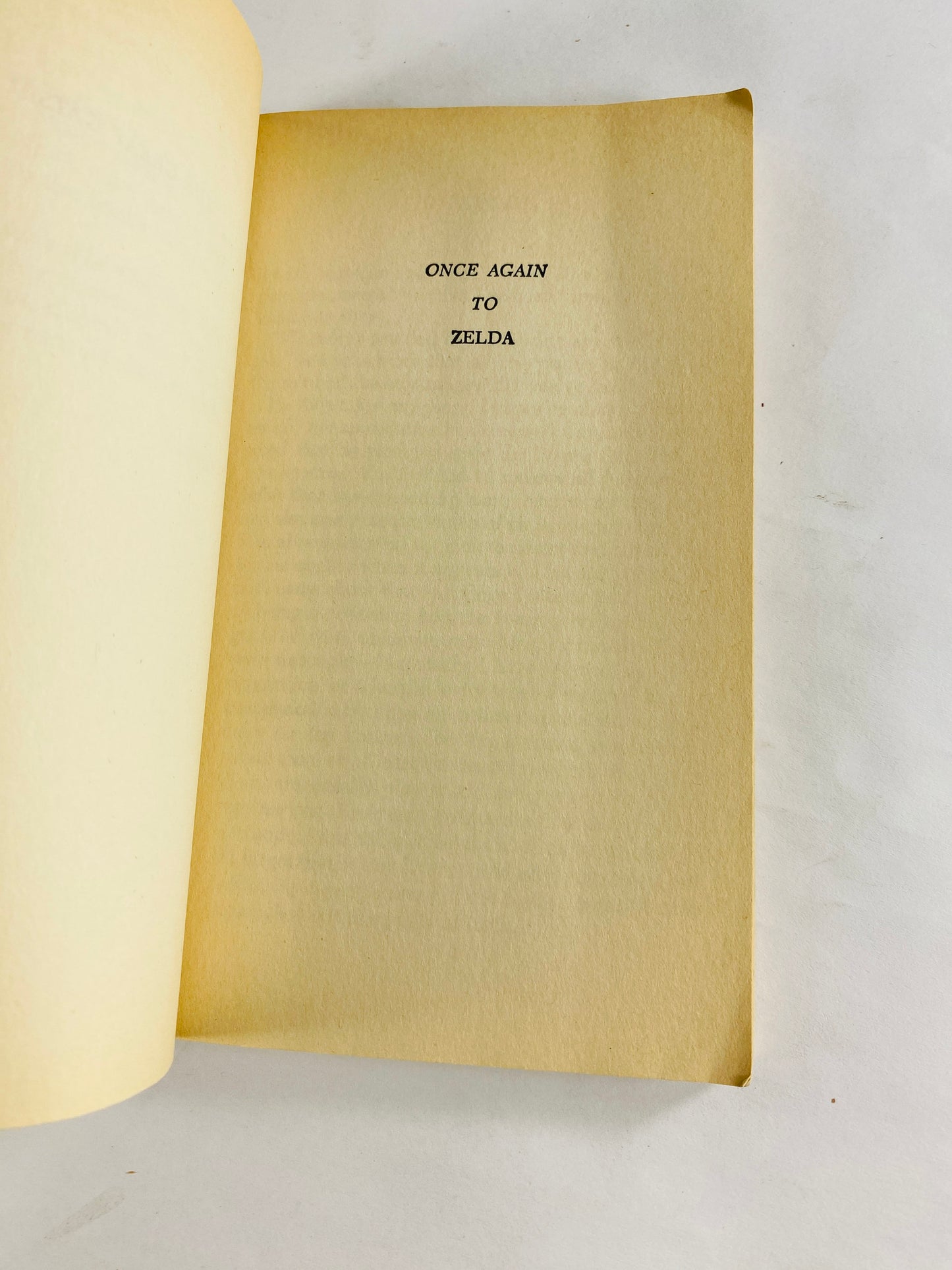 Great Gatsby by F Scott Fitzgerald. Vintage paperback book circa 1971. Scribner Library Classic. American literature! Book lover gift.