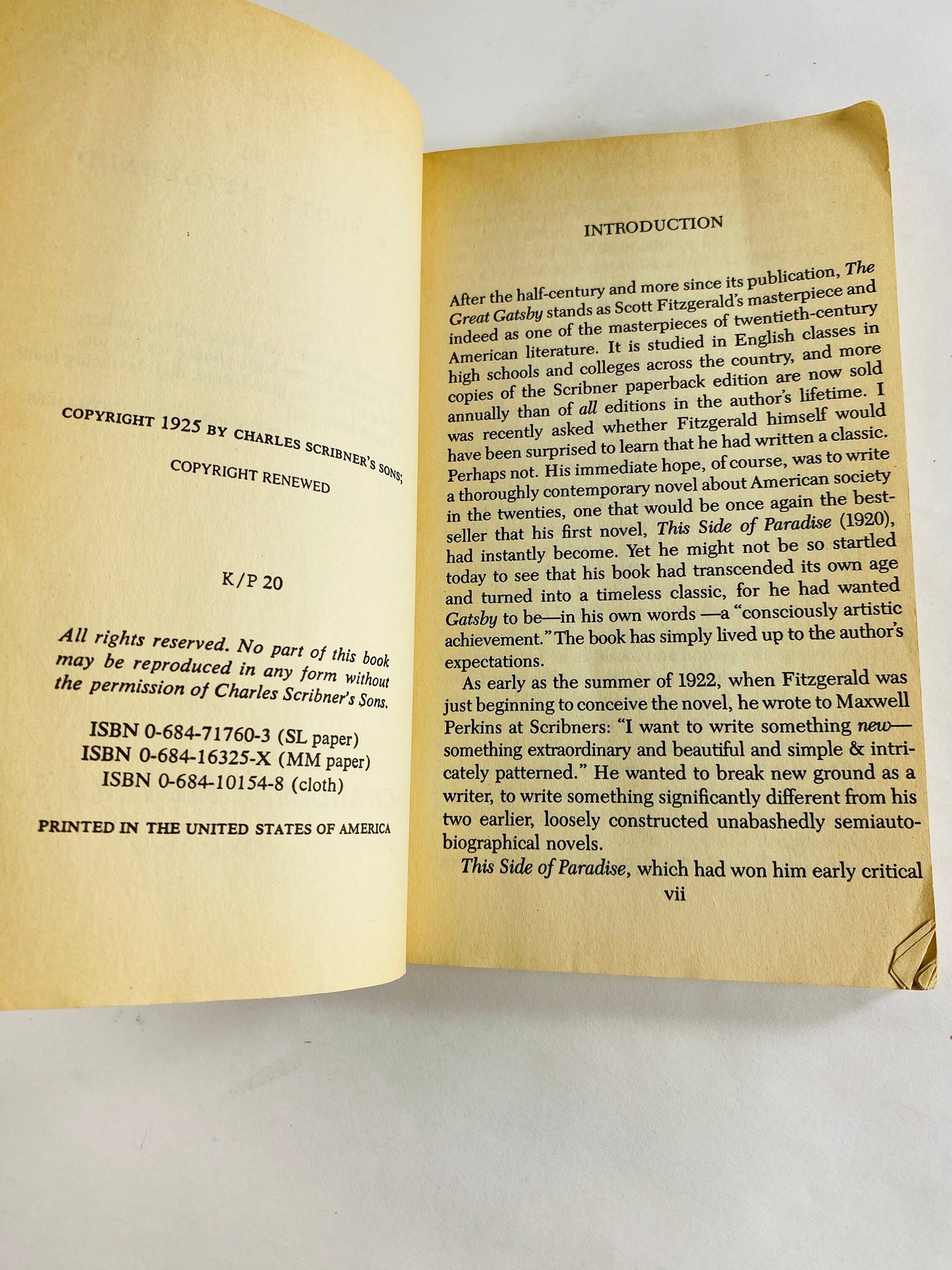 Great Gatsby by F Scott Fitzgerald. Vintage paperback book circa 1971. Scribner Library Classic. American literature! Book lover gift.