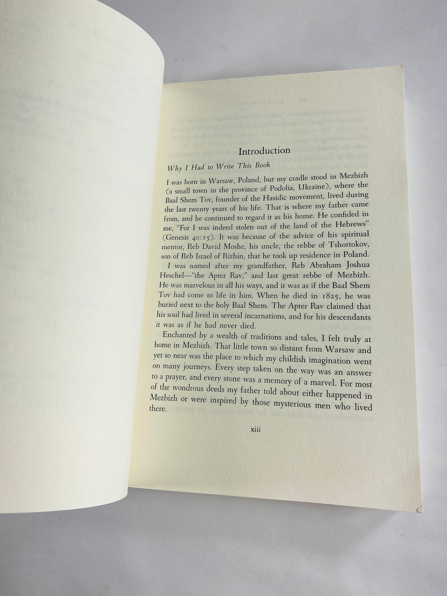 1995 Passion for Truth by Abraham Joshua Heschel vintage paperback book Human Existence Jewish philosopher moral teachings modern Judaism