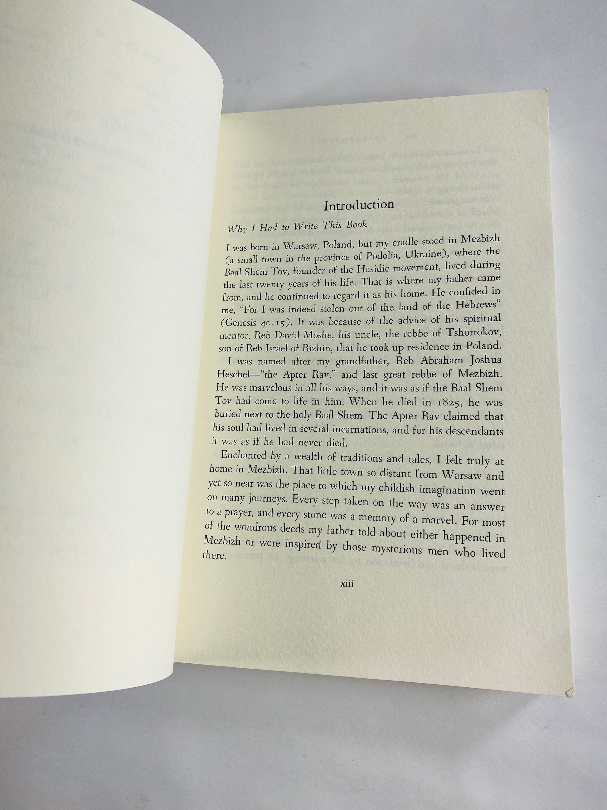 1995 Passion for Truth by Abraham Joshua Heschel vintage paperback book Human Existence Jewish philosopher moral teachings modern Judaism